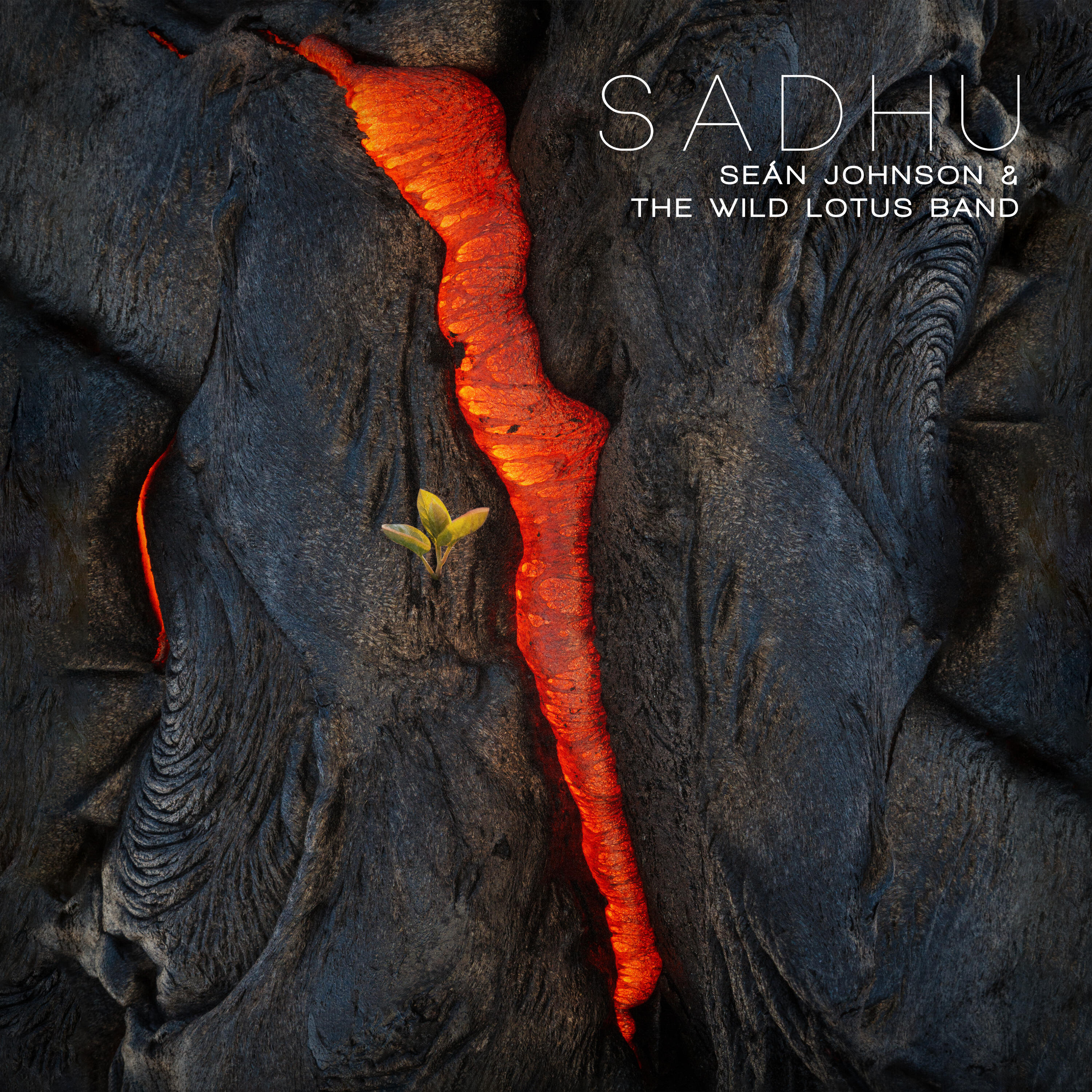 Релиз Sadhu (Om Namah Shivaya)
