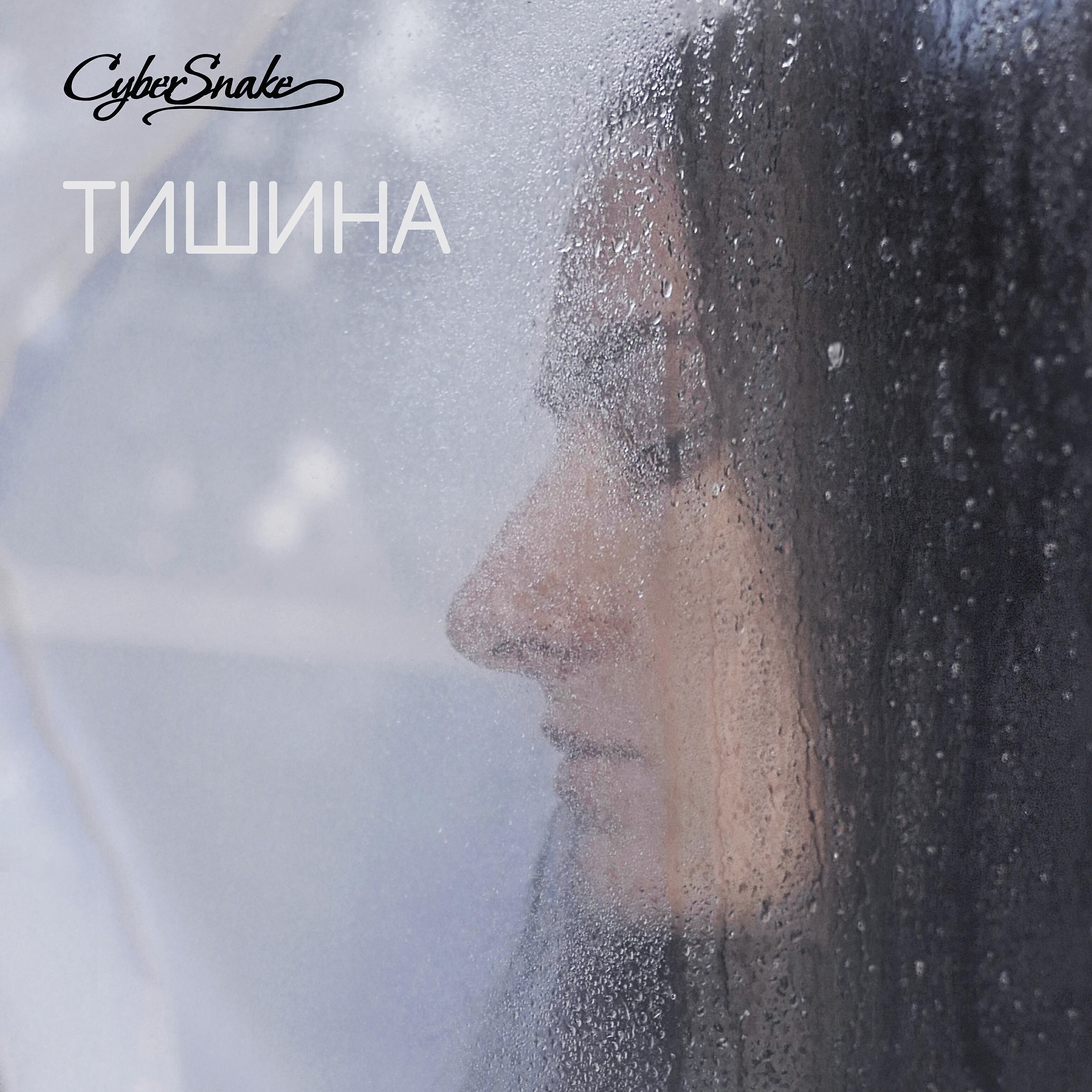Релиз Тишина