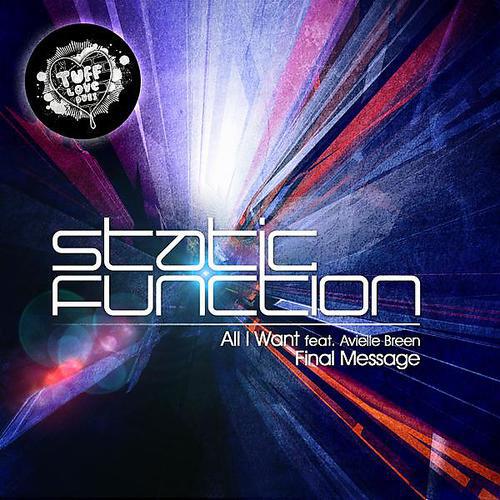Альбом All I Want / Final Message исполнителя Static Function