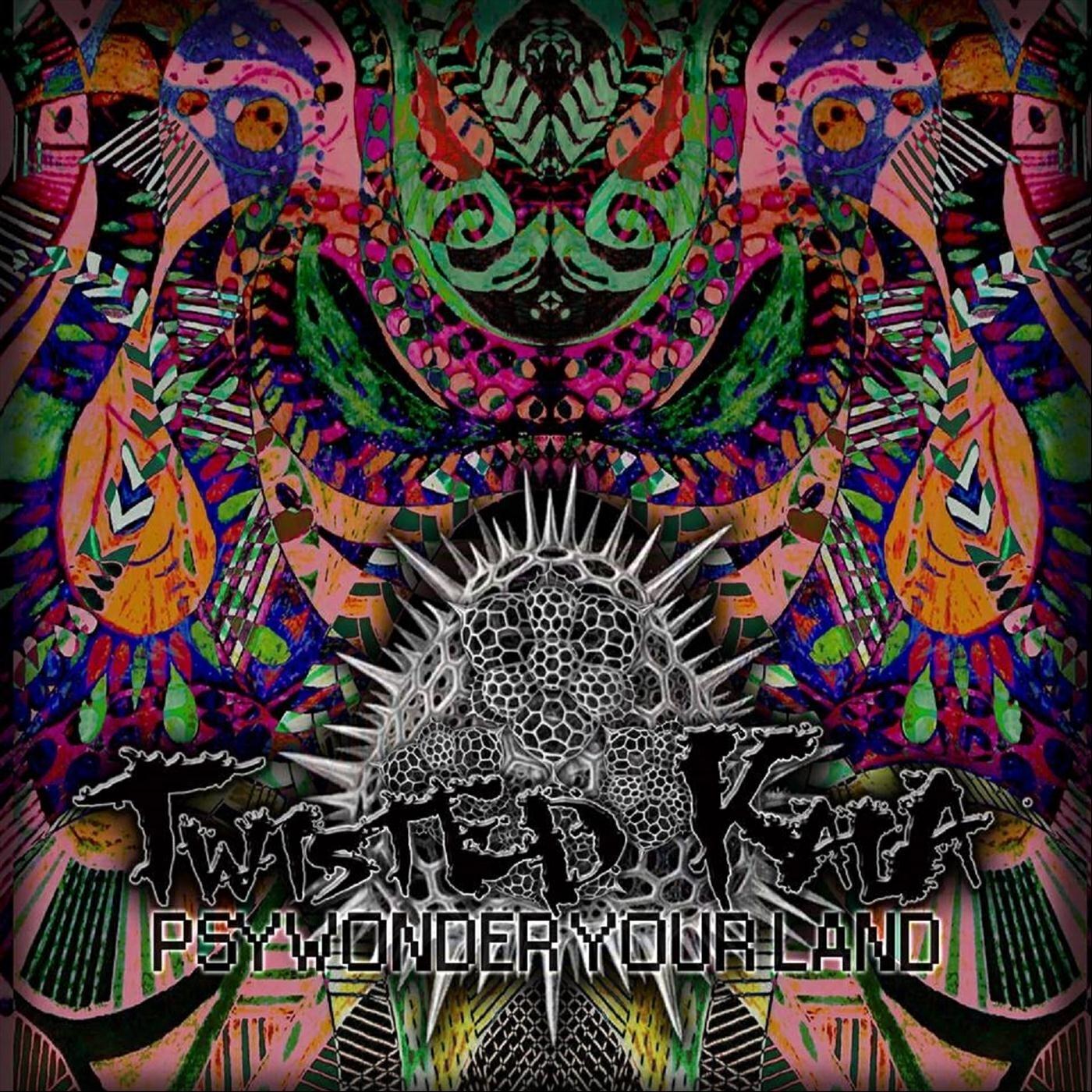 Релиз Psywonder Your Land