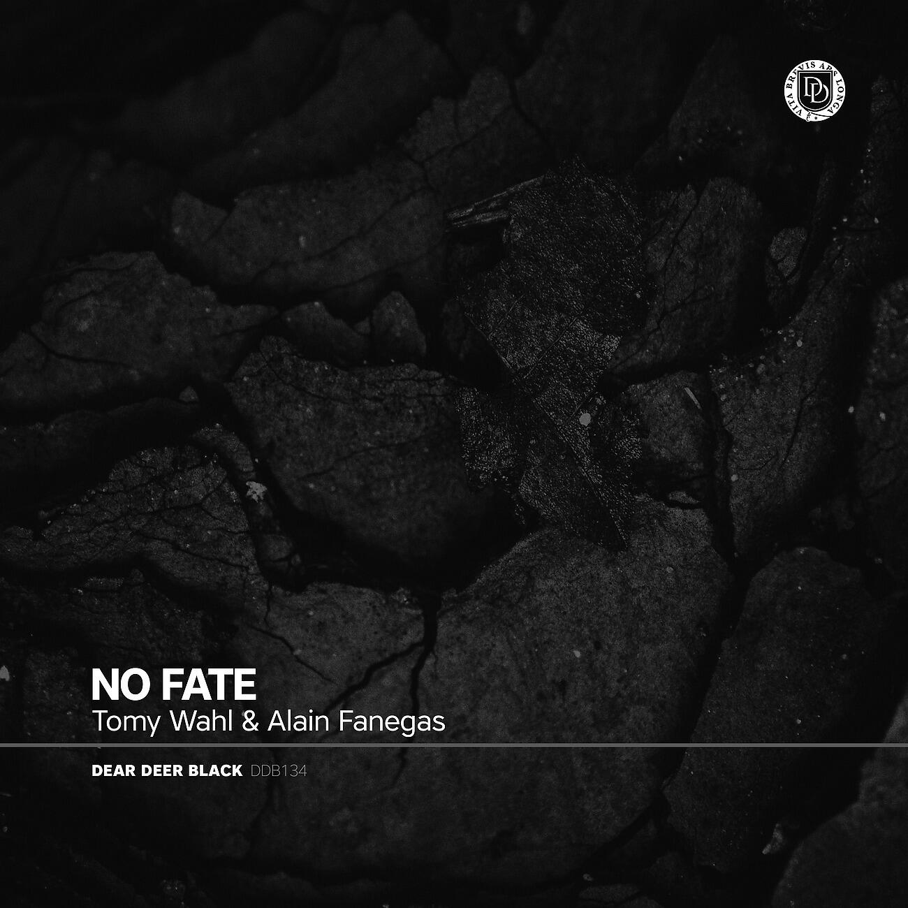 Релиз No Fate