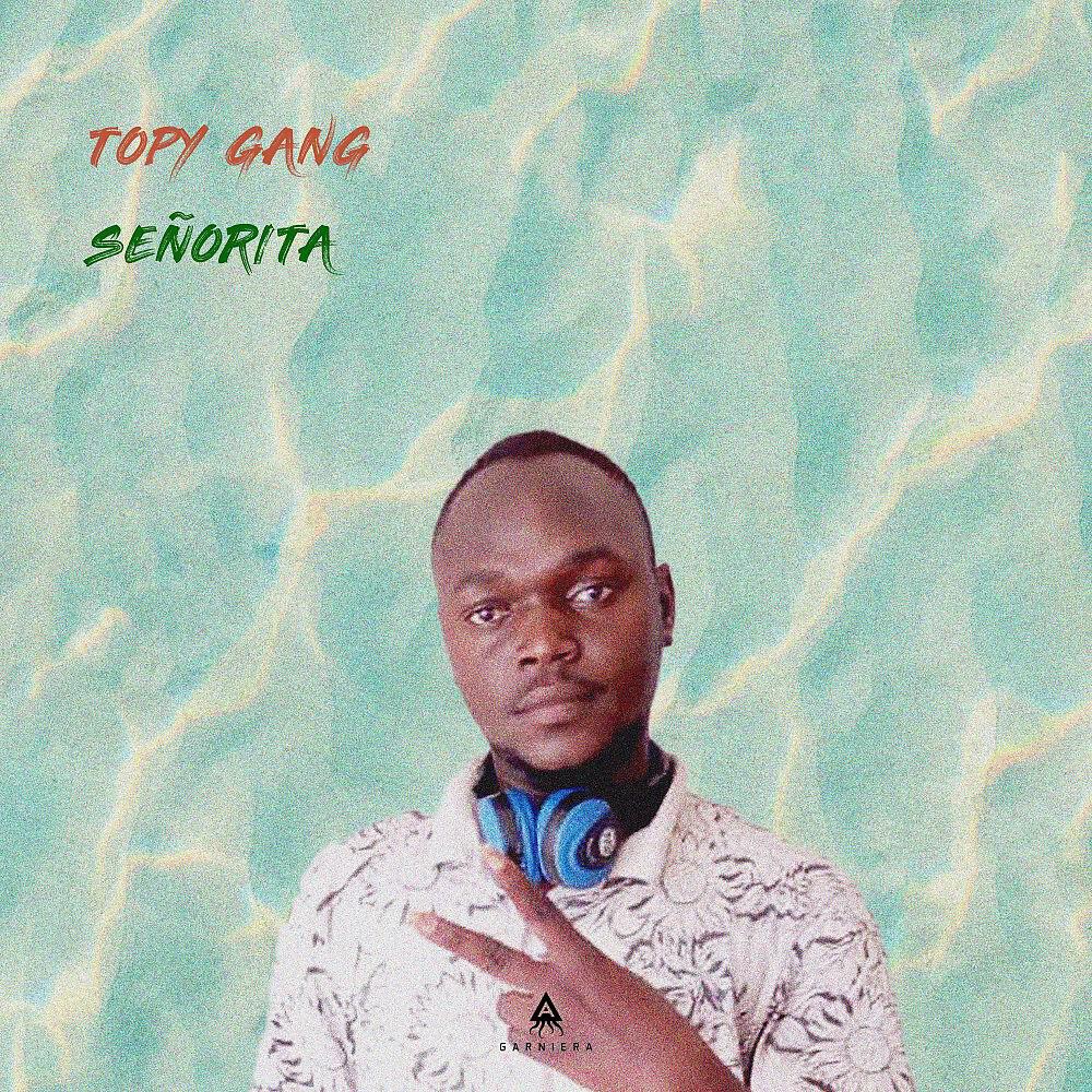 Релиз Señorita