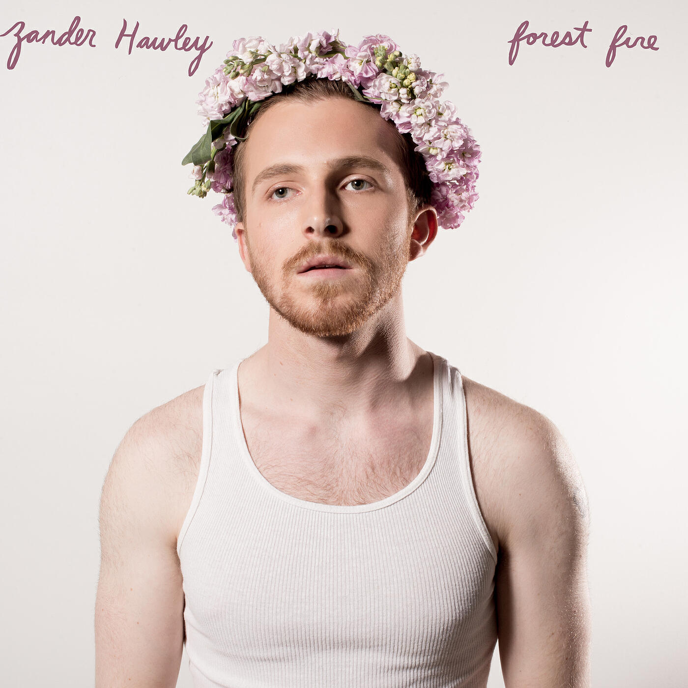 Релиз Forest Fire