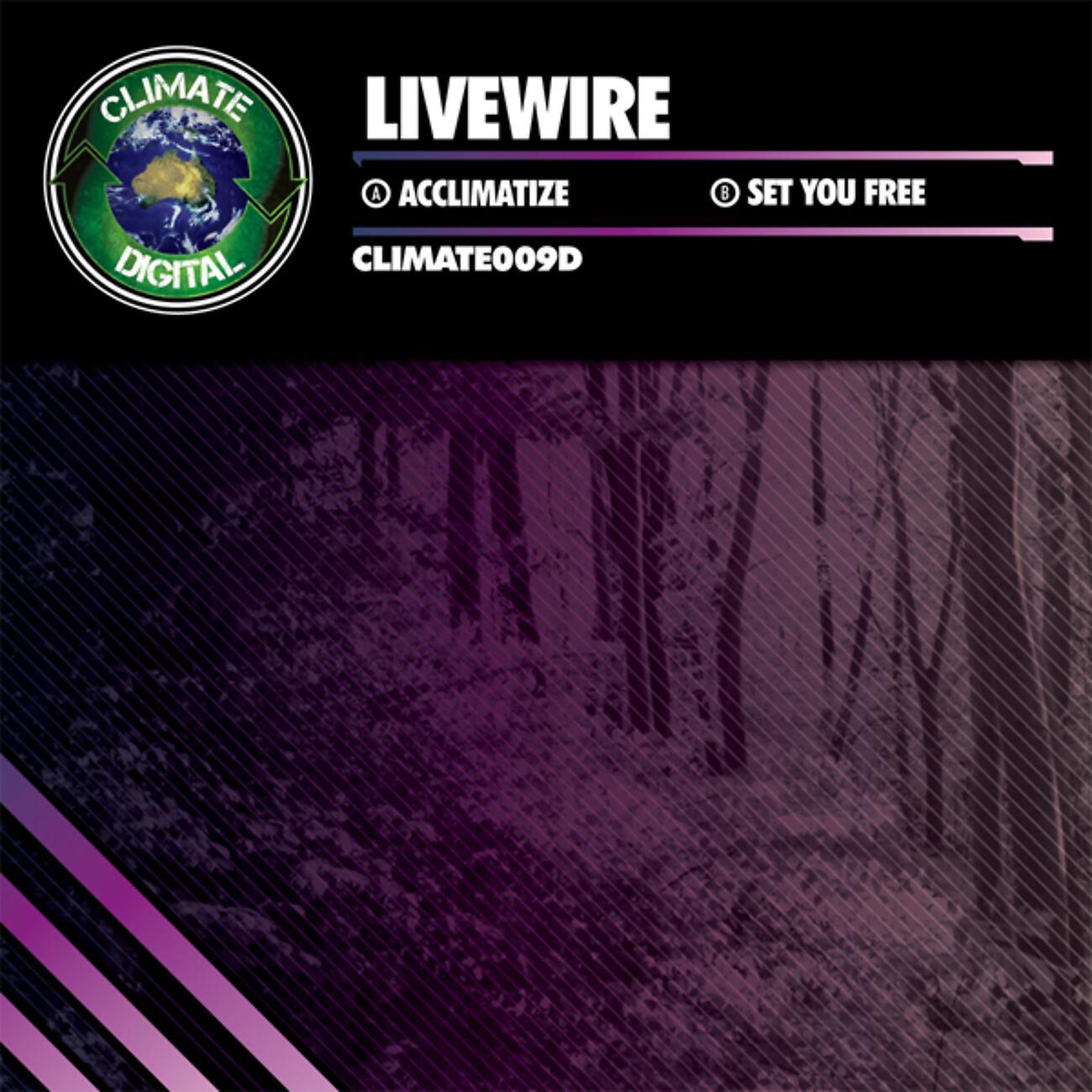 Релиз Acclimatize / Set You Free
