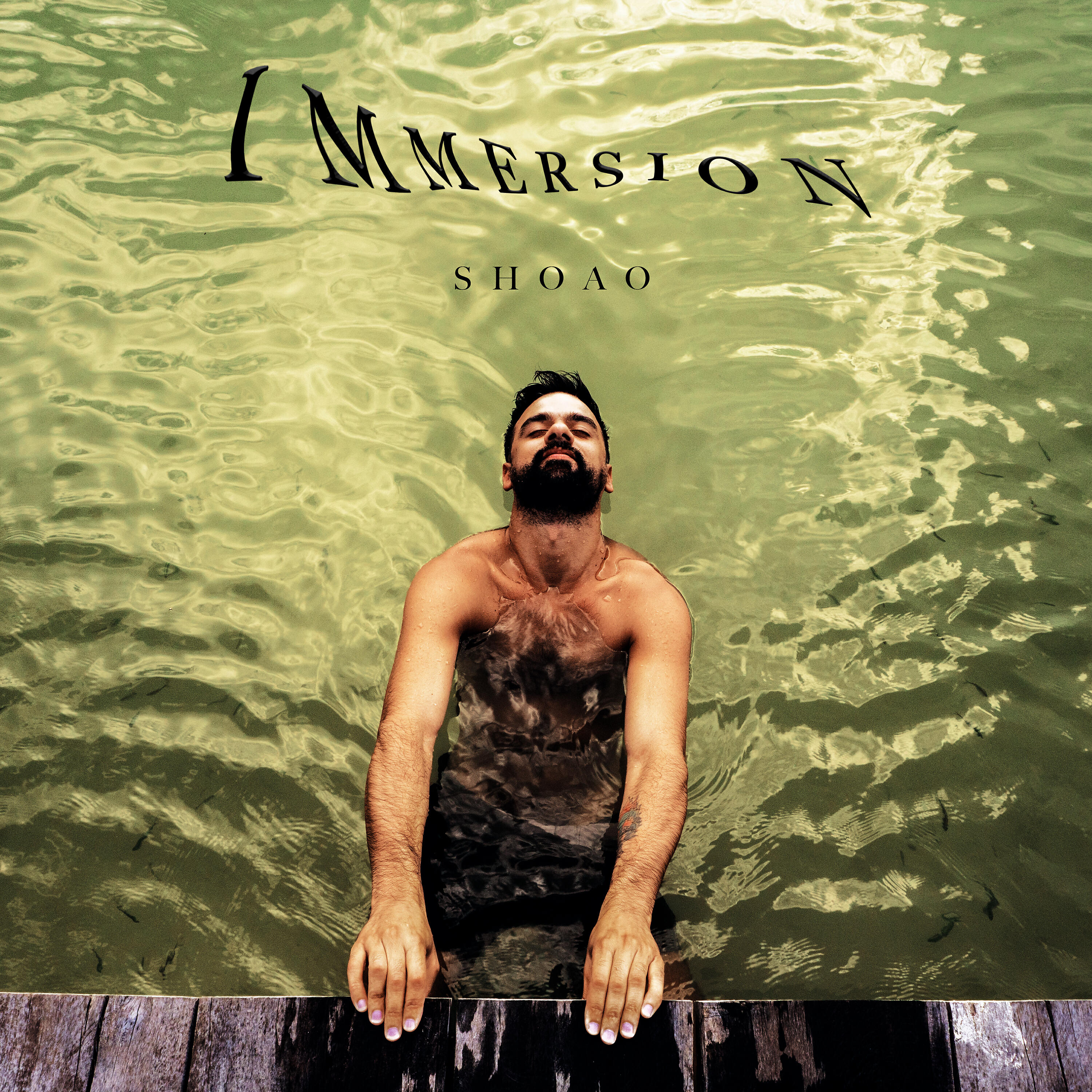 Релиз Immersion