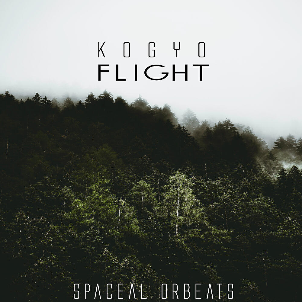 Релиз Flight