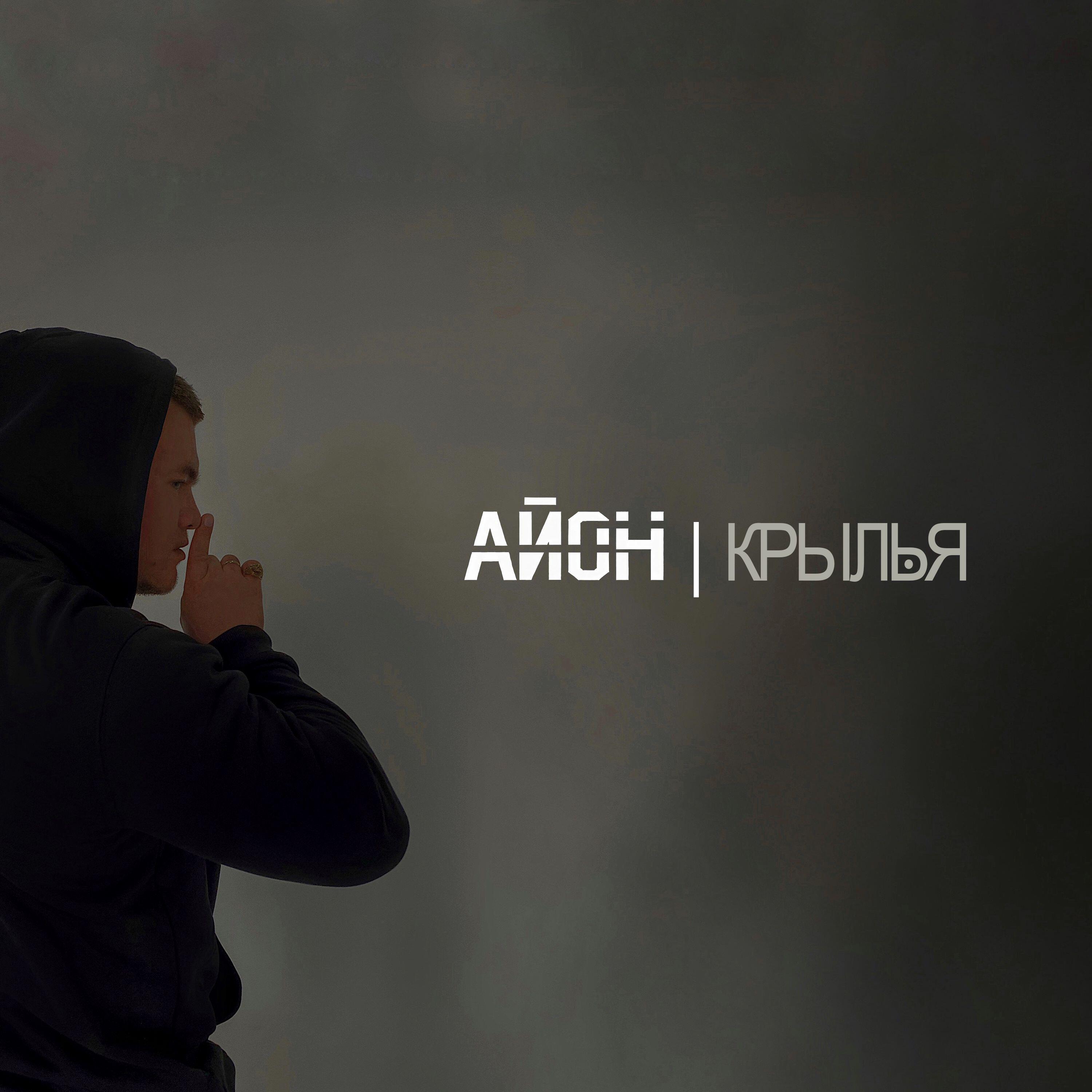 Постер альбома Крылья