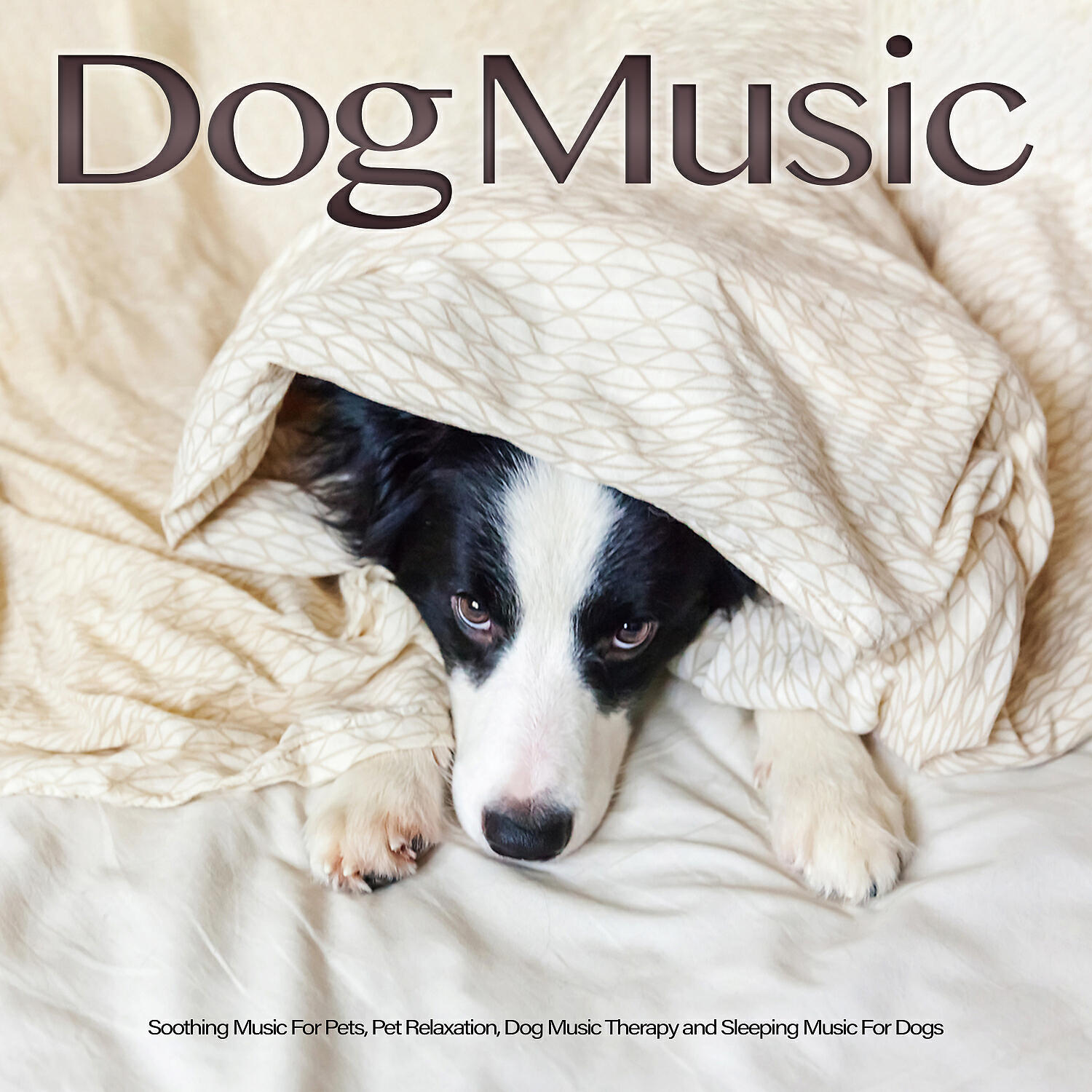 Релиз Dog Music: Soothing Music For Pets, Pet Relaxation, Dog Music Therapy and Sleeping Music For Dogs