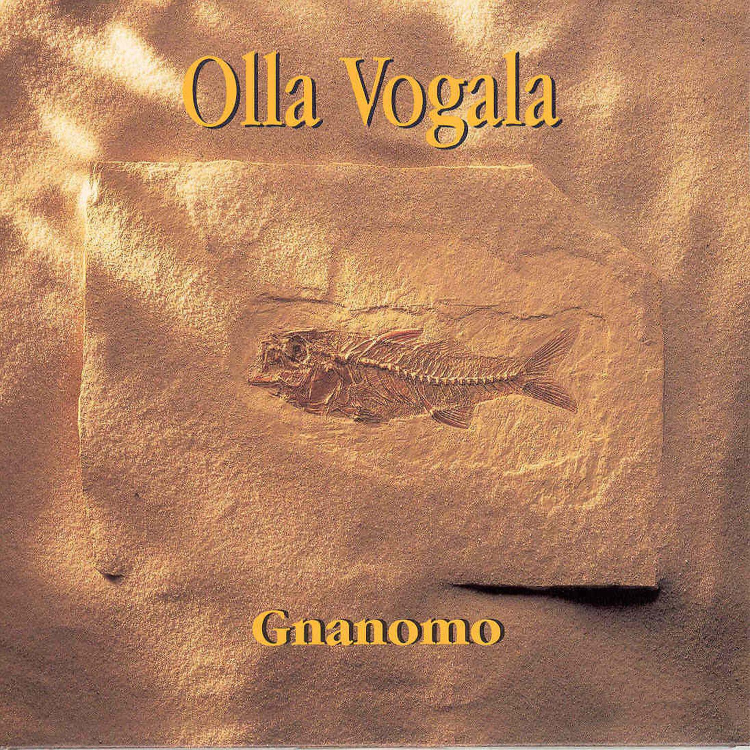 Релиз Gnanomo
