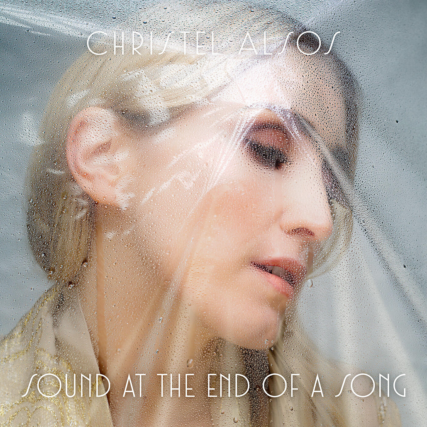Релиз Sound At The End Of A Song
