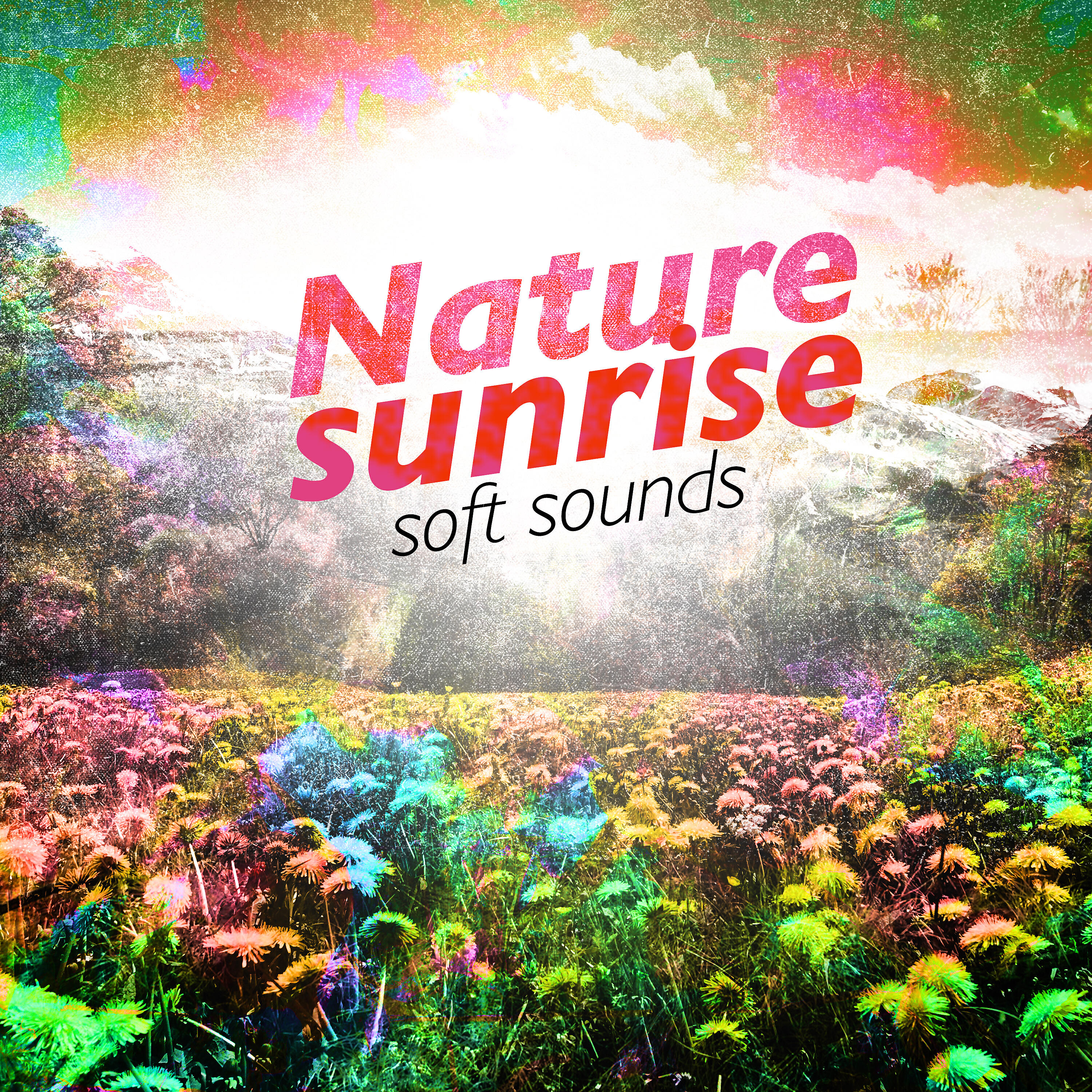 Постер альбома Nature Sunrise: Soft Sounds