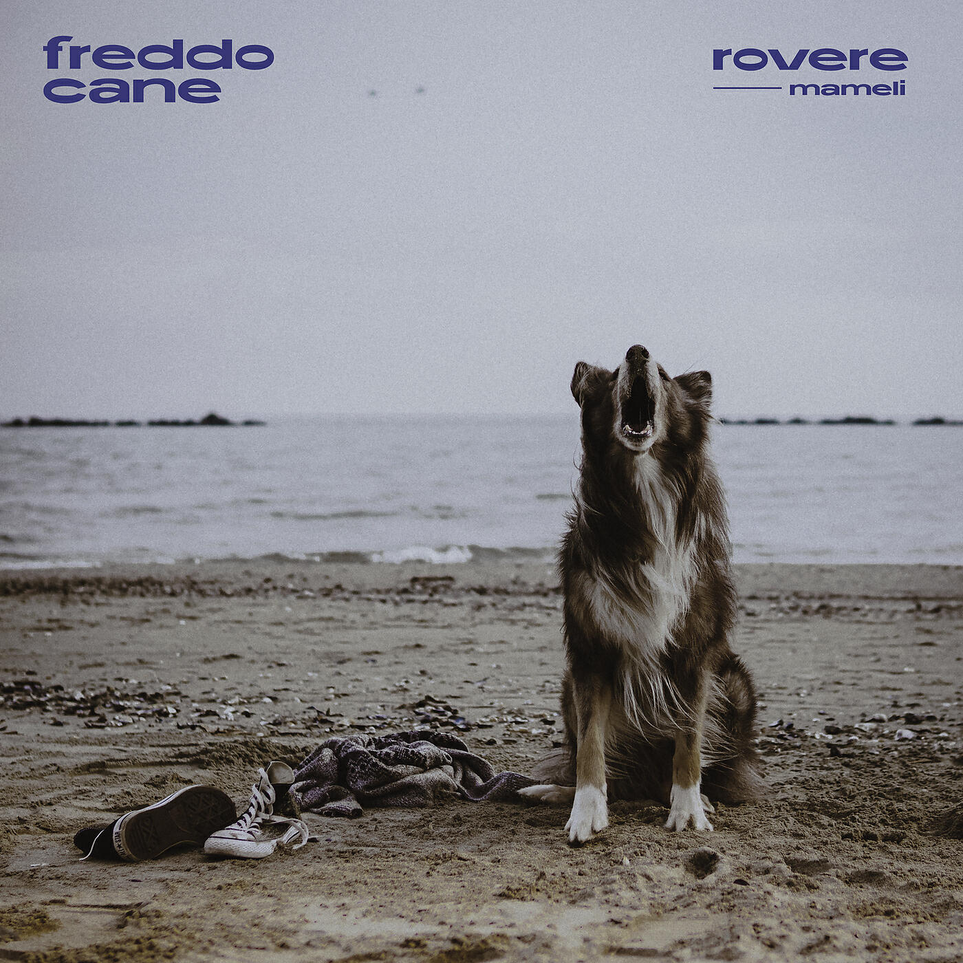 Релиз freddo cane