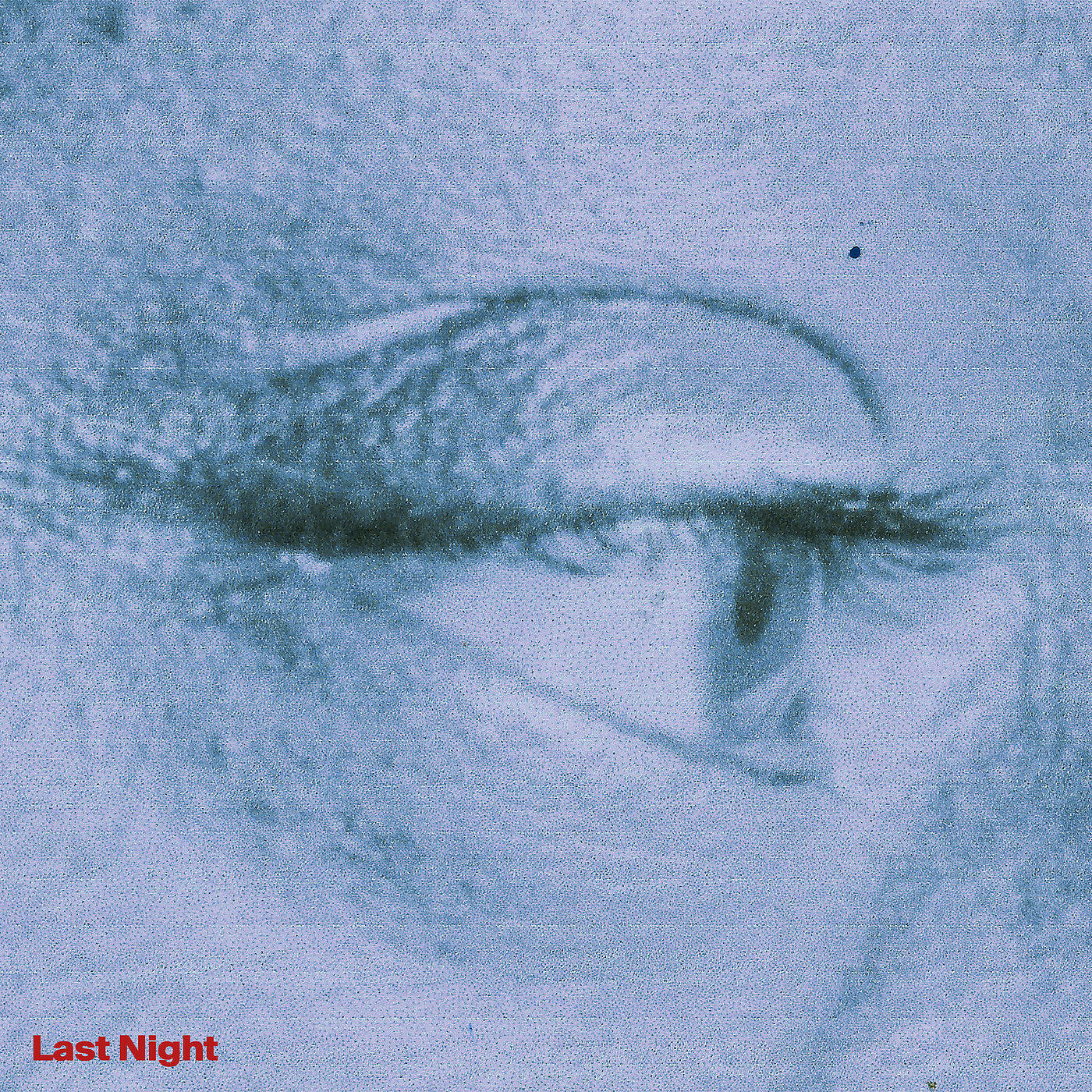 Релиз Last Night