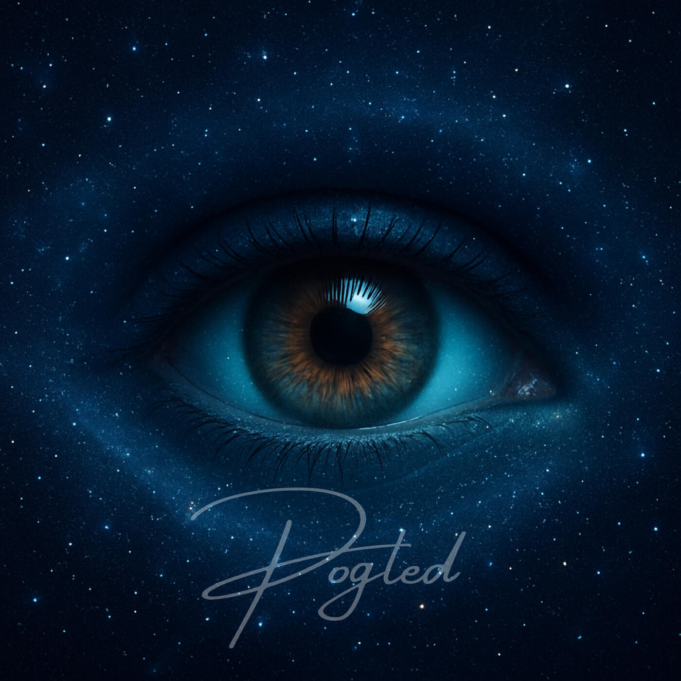 Релиз Pogled