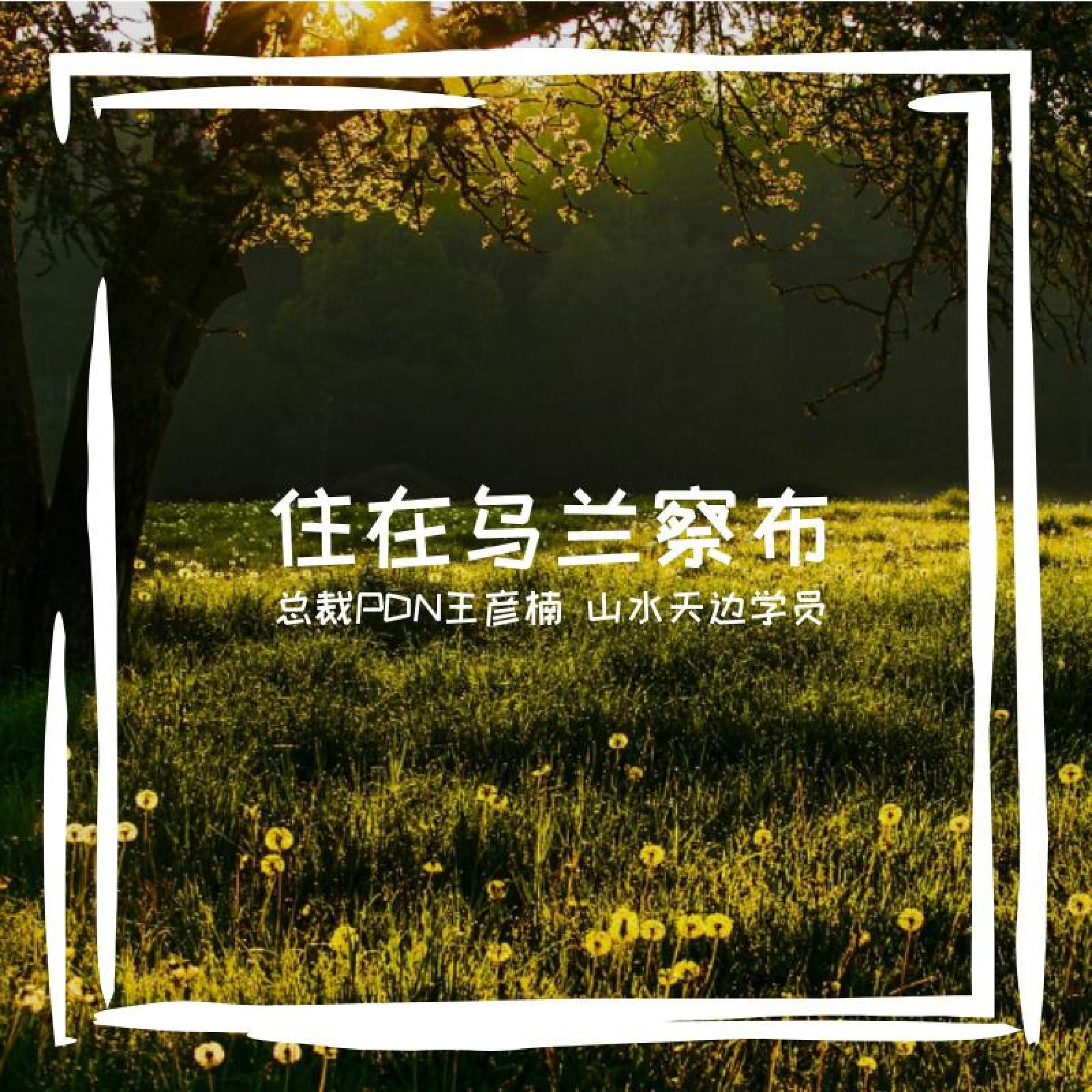 郑谨飞