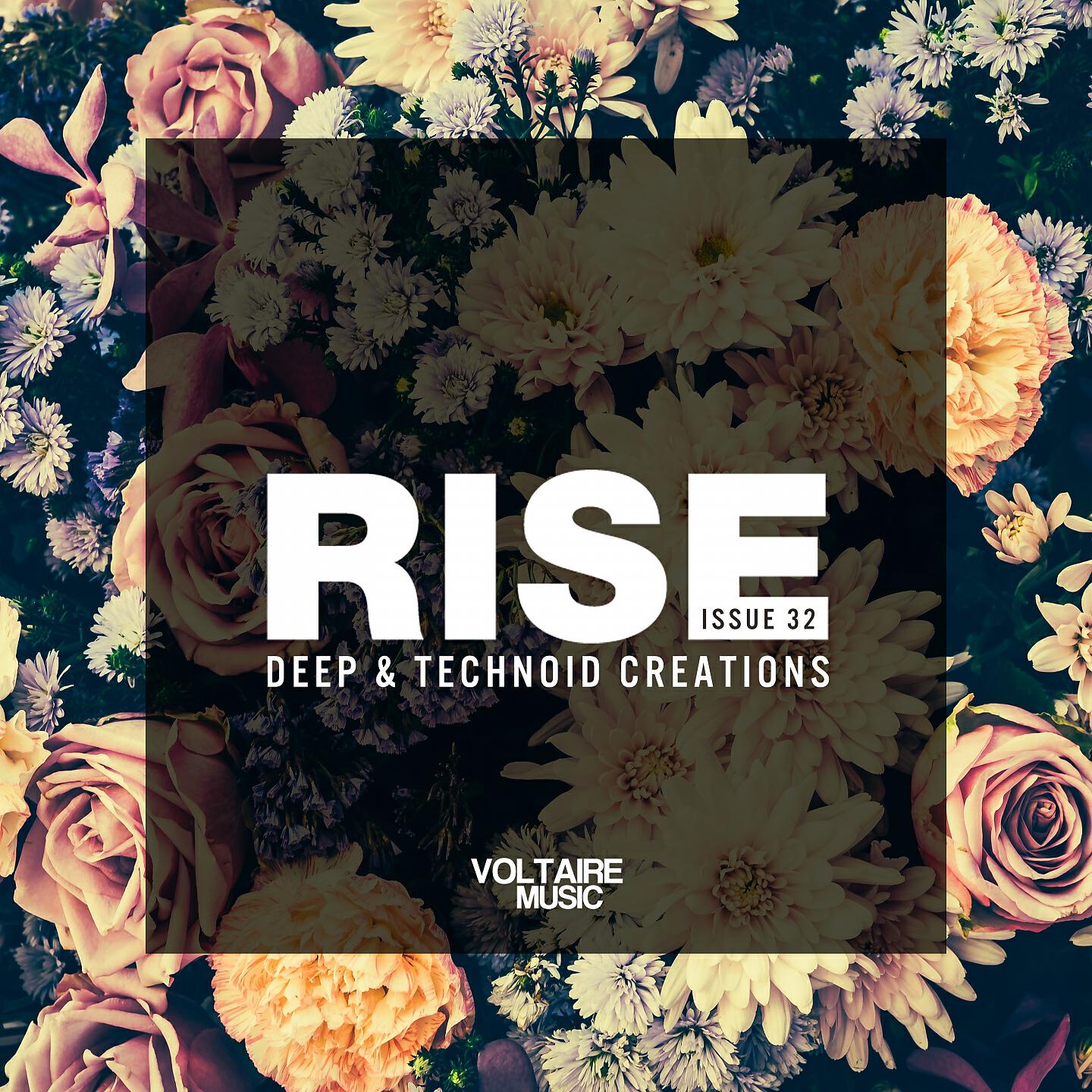 Релиз Rise - Deep & Technoid Creations Issue 32