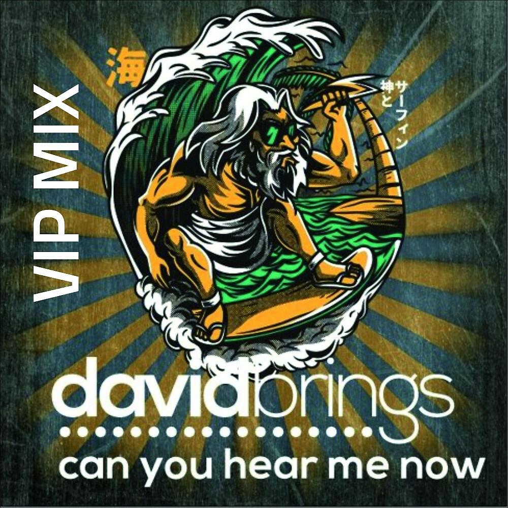 Релиз Can You Hear Me Now (VIP Mix)