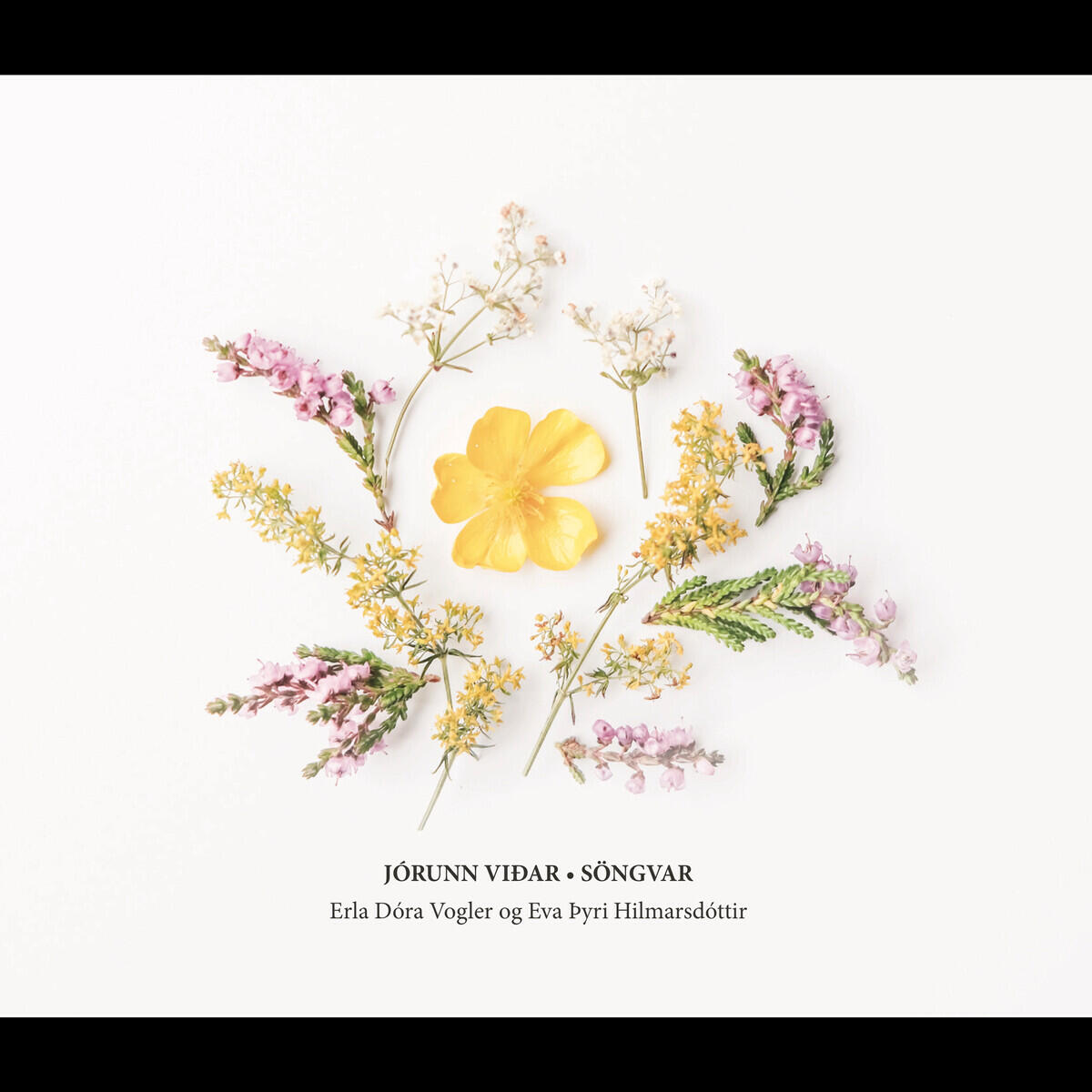 Релиз Jórunn Viðar - Söngvar