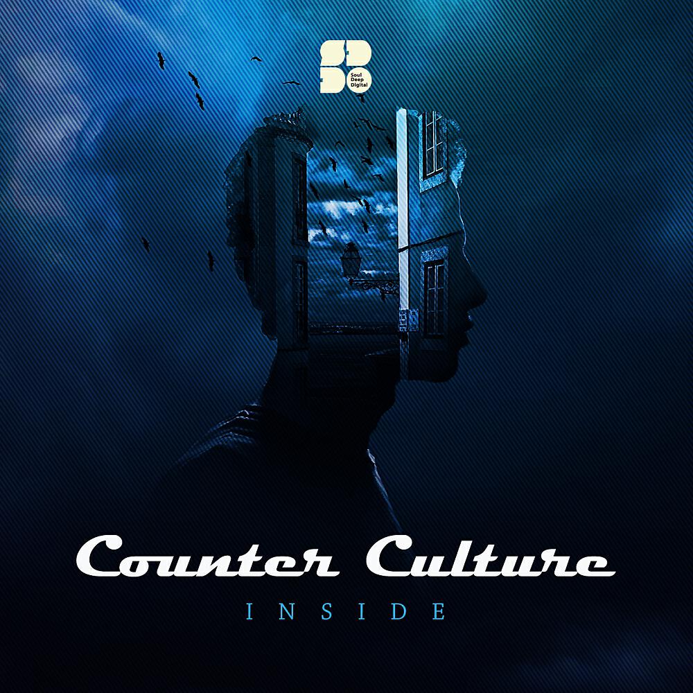 Релиз Inside