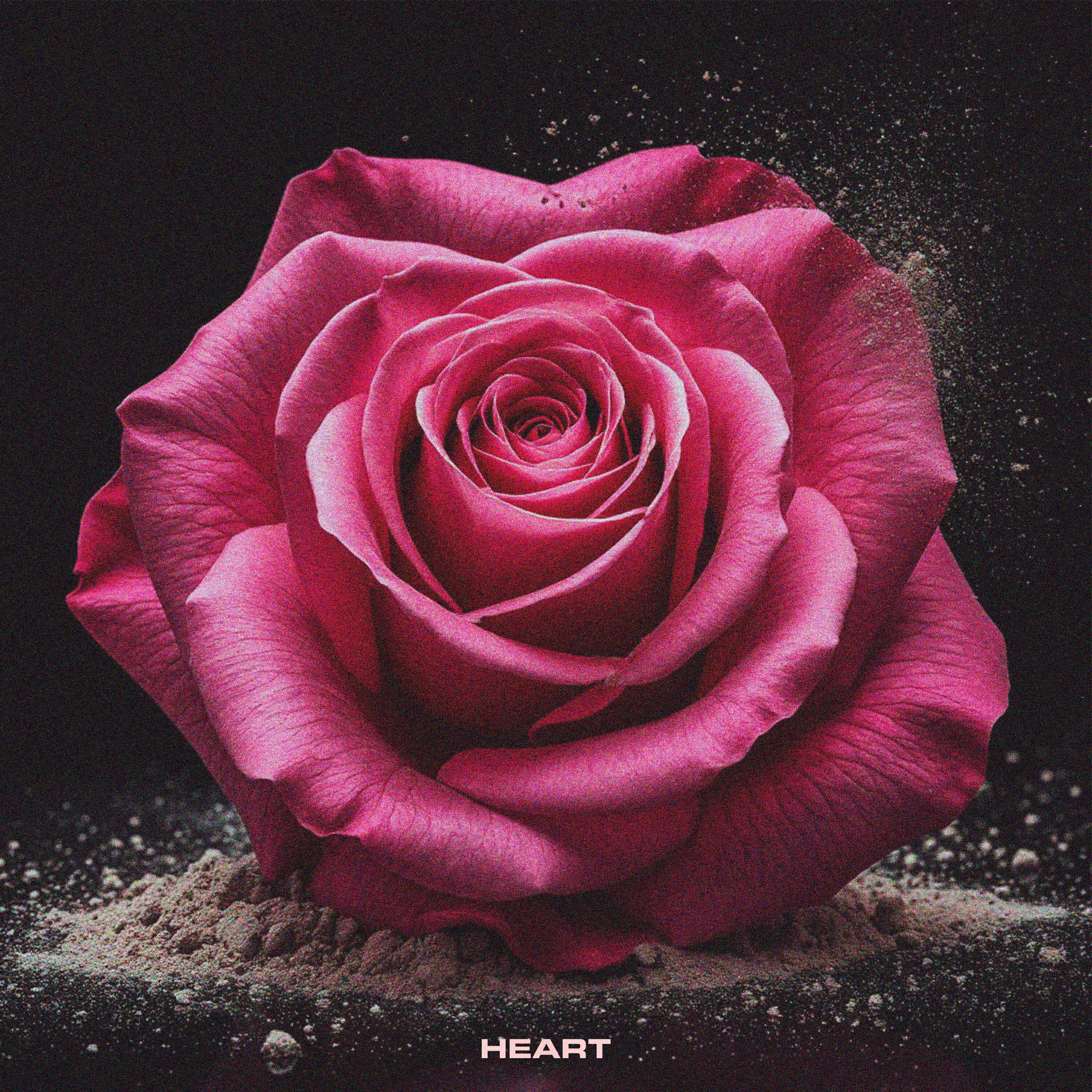 Релиз Heart