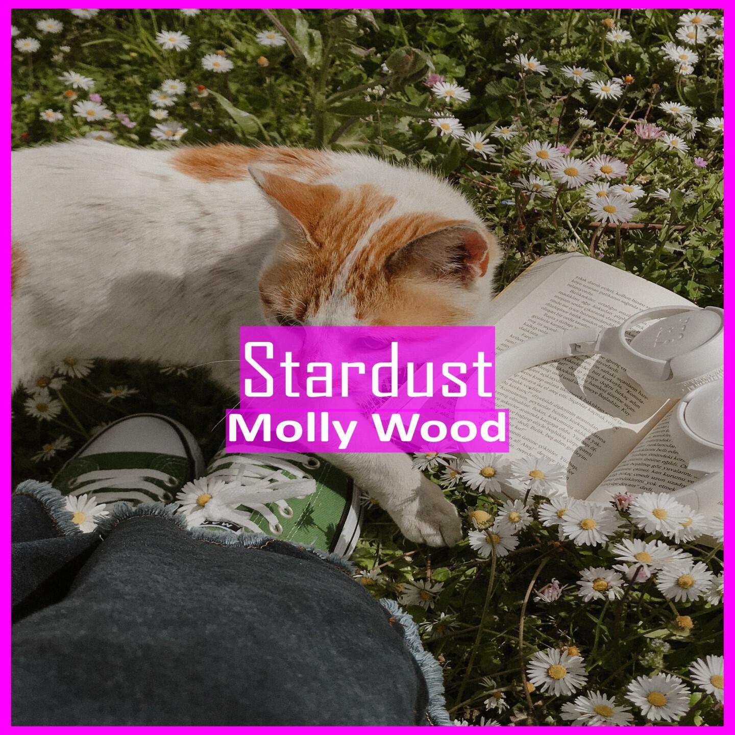 Релиз Stardust