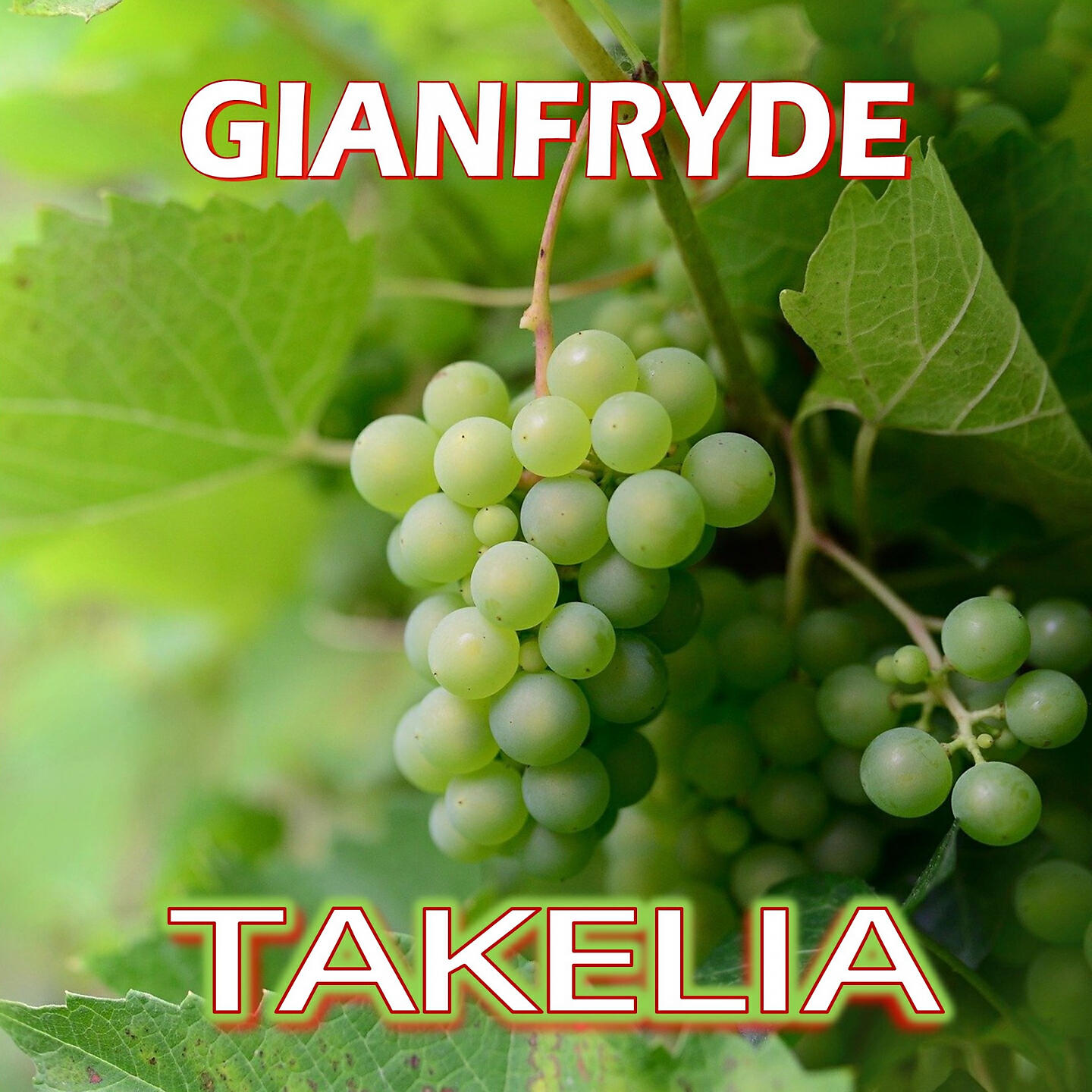 Релиз Takelia