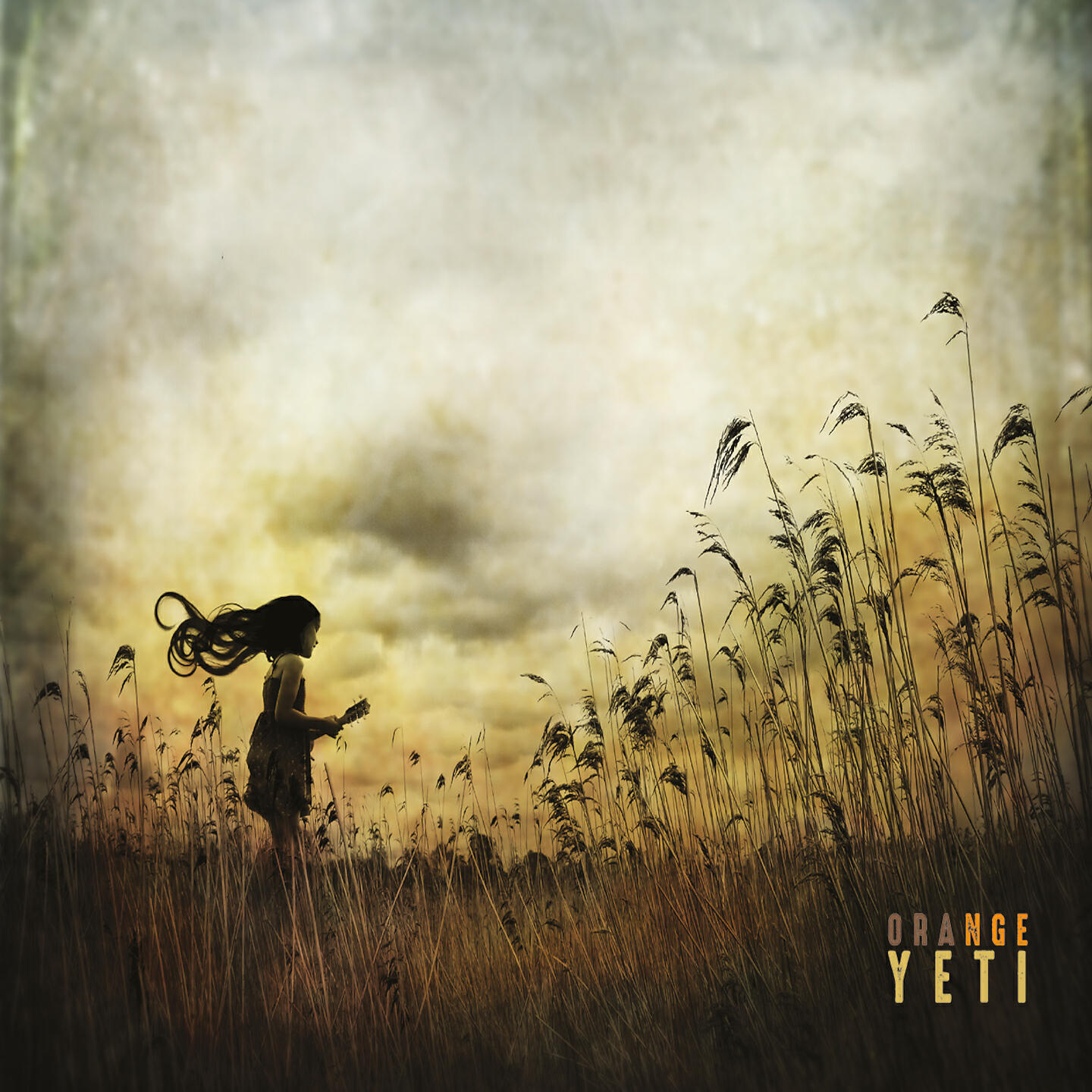 Релиз Orange Yeti