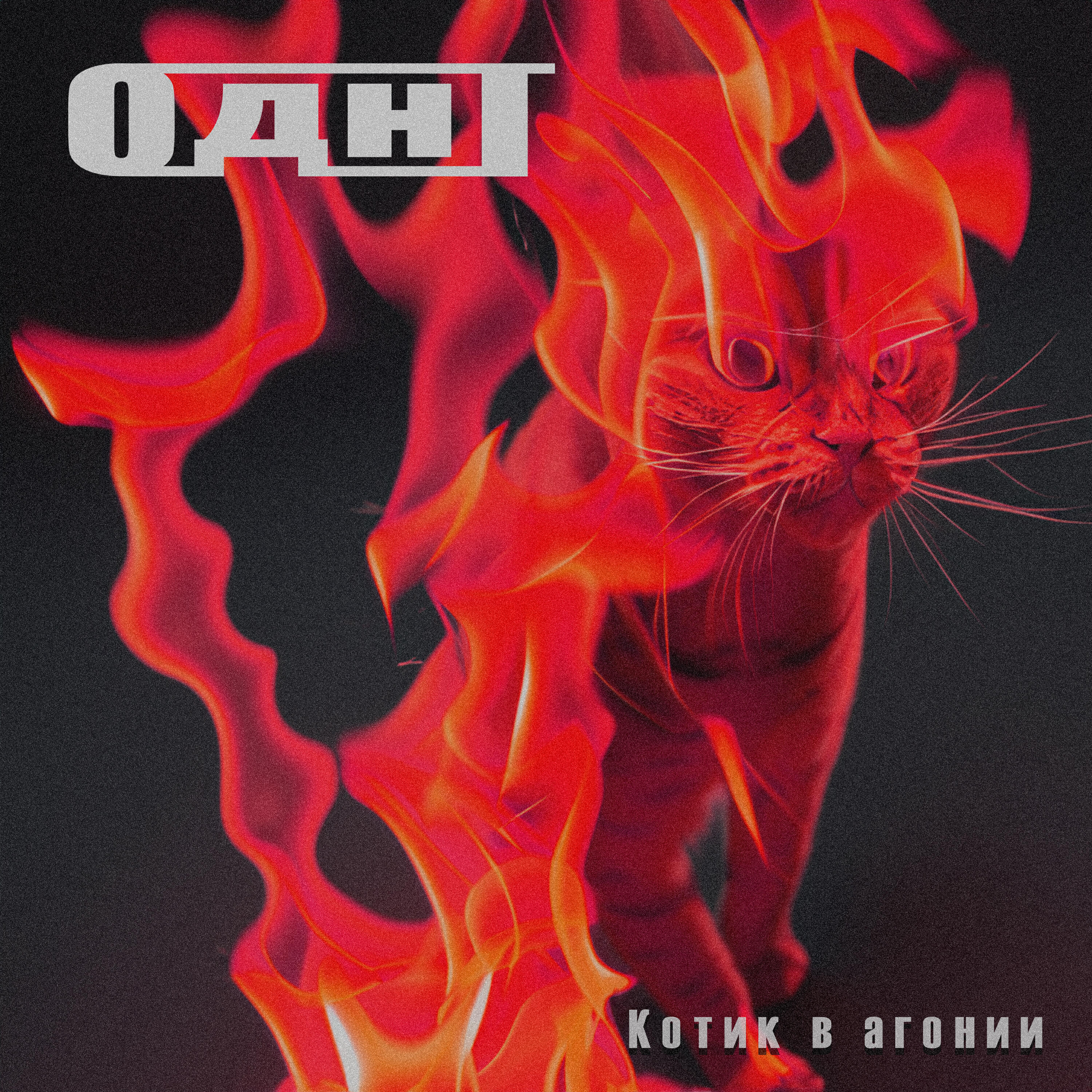 Релиз Котик в агонии