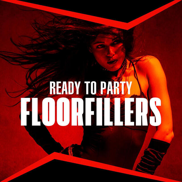 Постер альбома Ready to Party Floorfillers