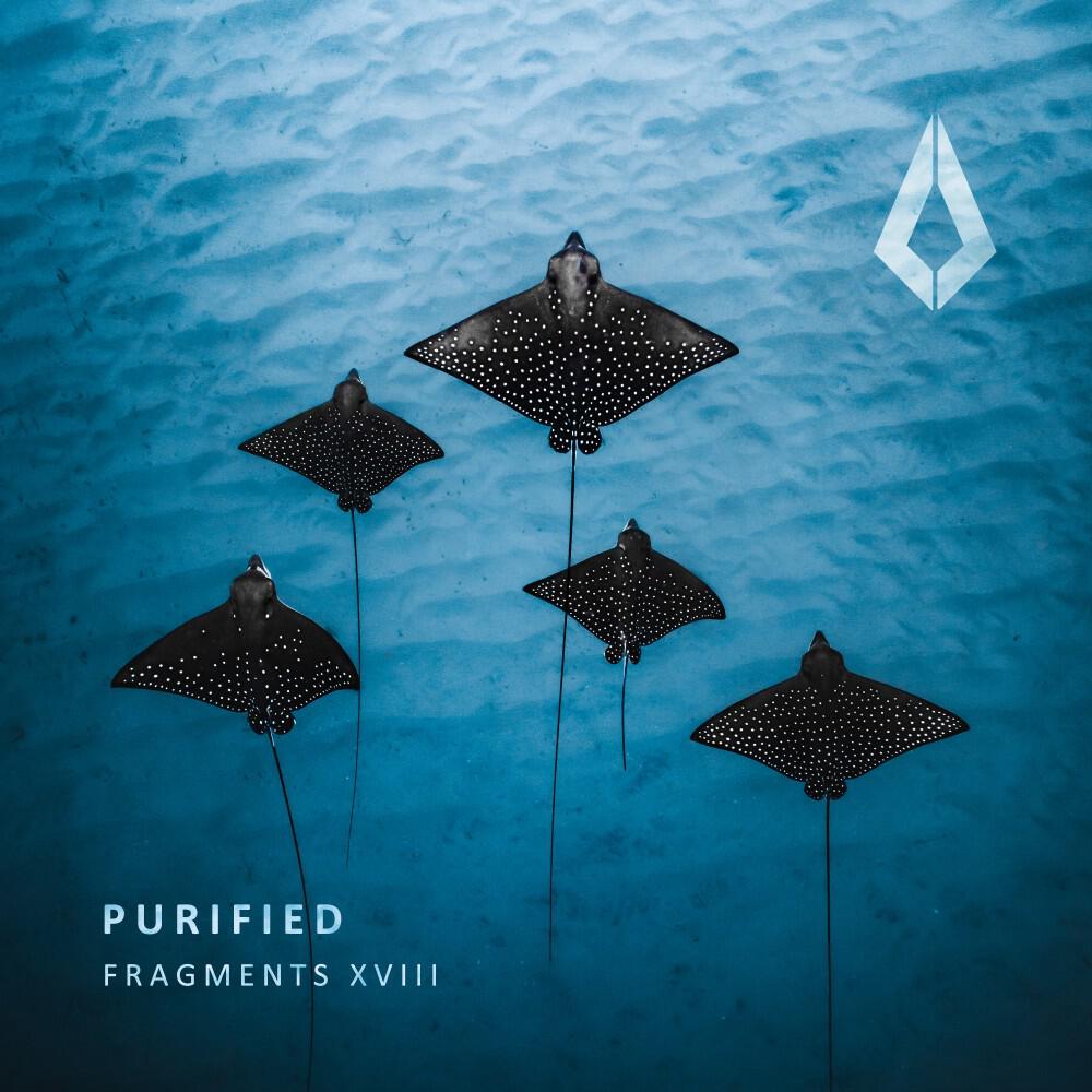 Релиз Purified Fragments XVIII