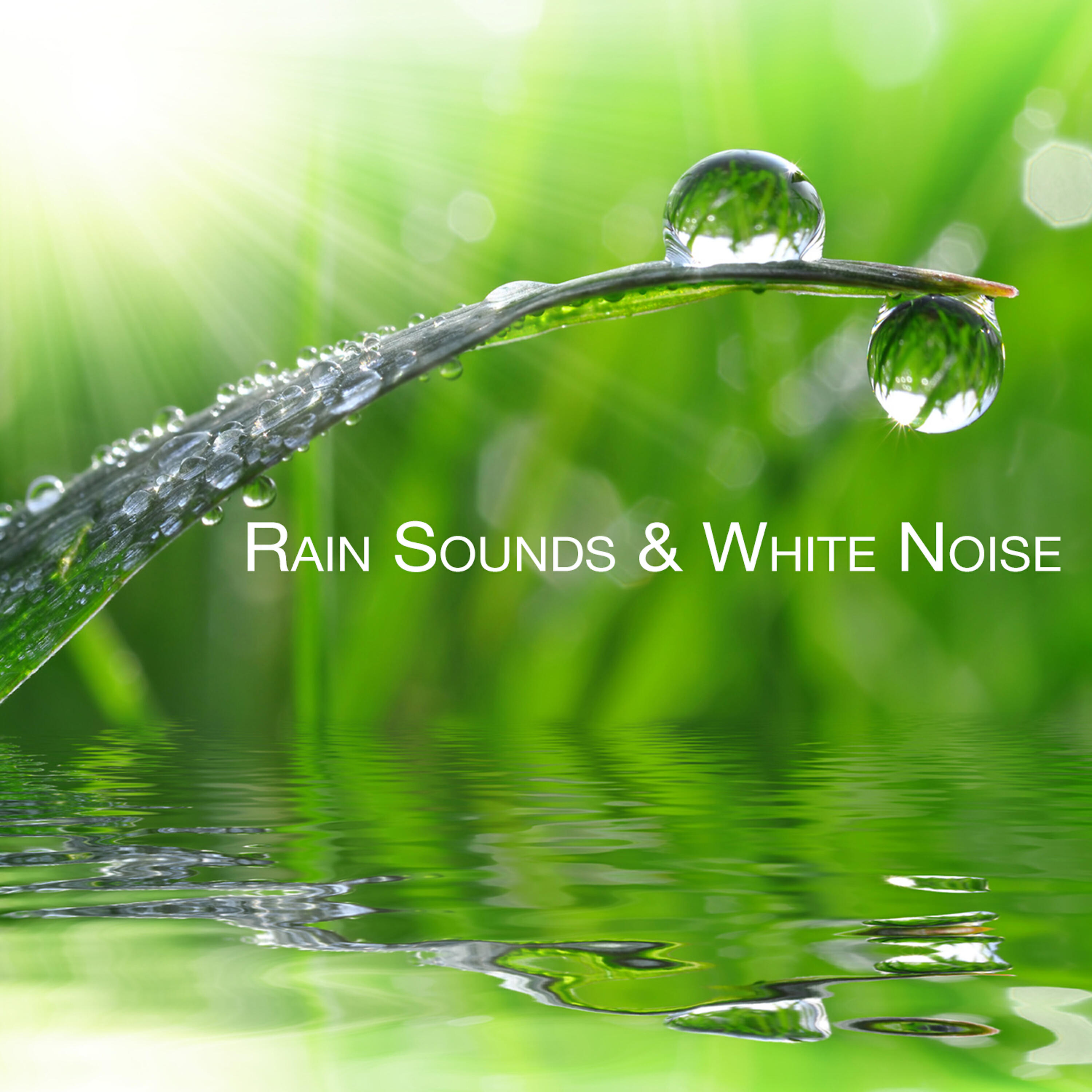 Релиз Rain Sounds & White Noise
