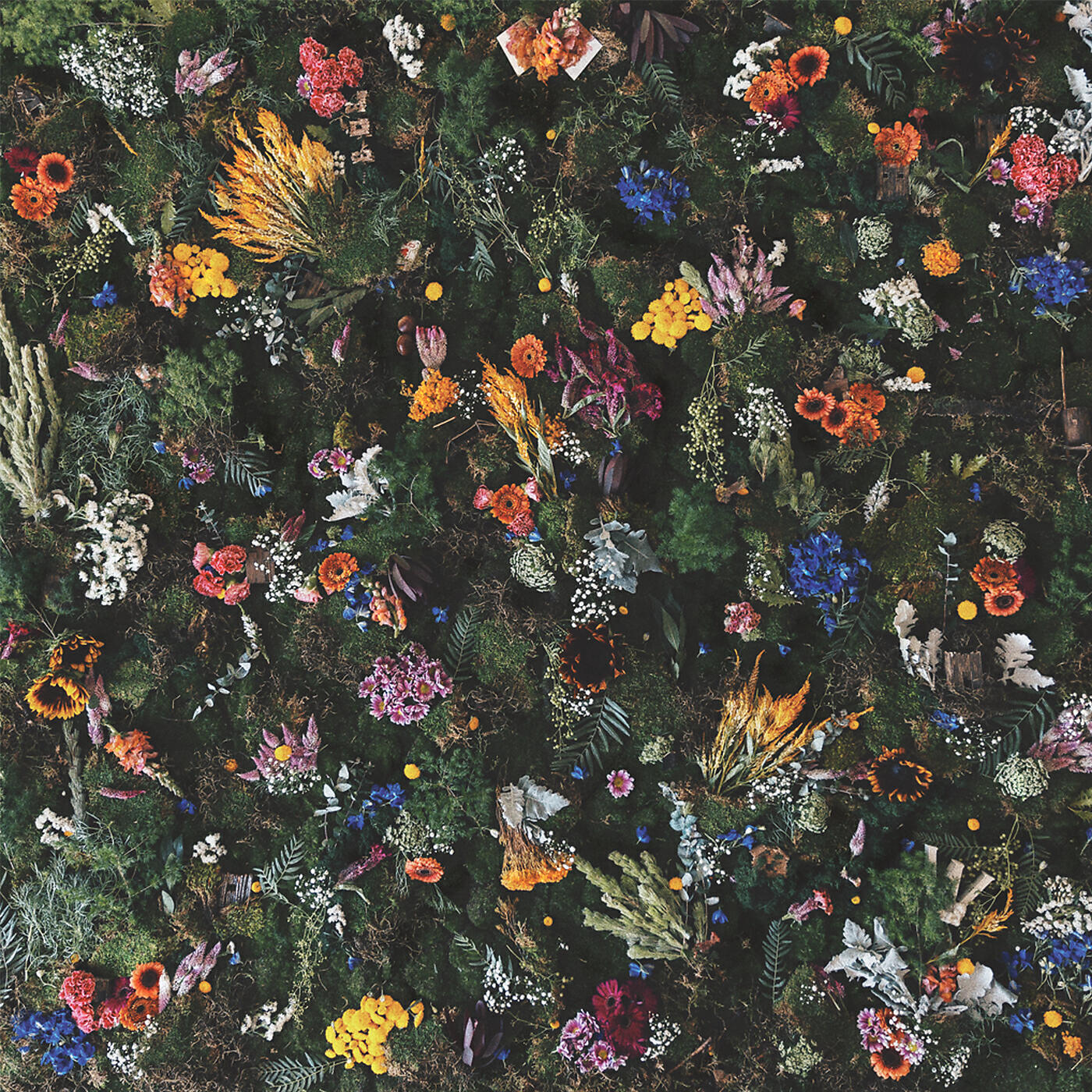 Релиз Echo Of Youth