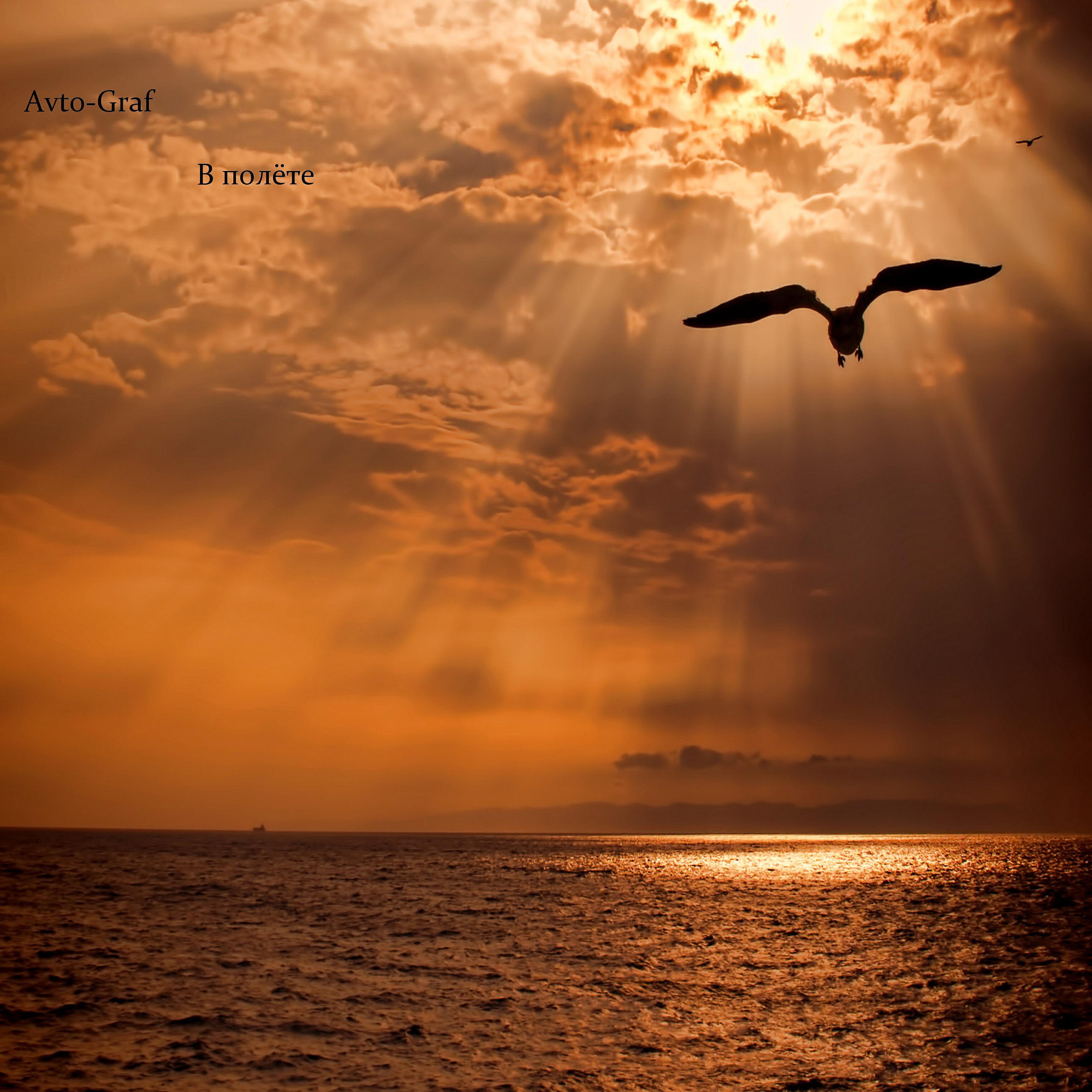 Релиз В полёте