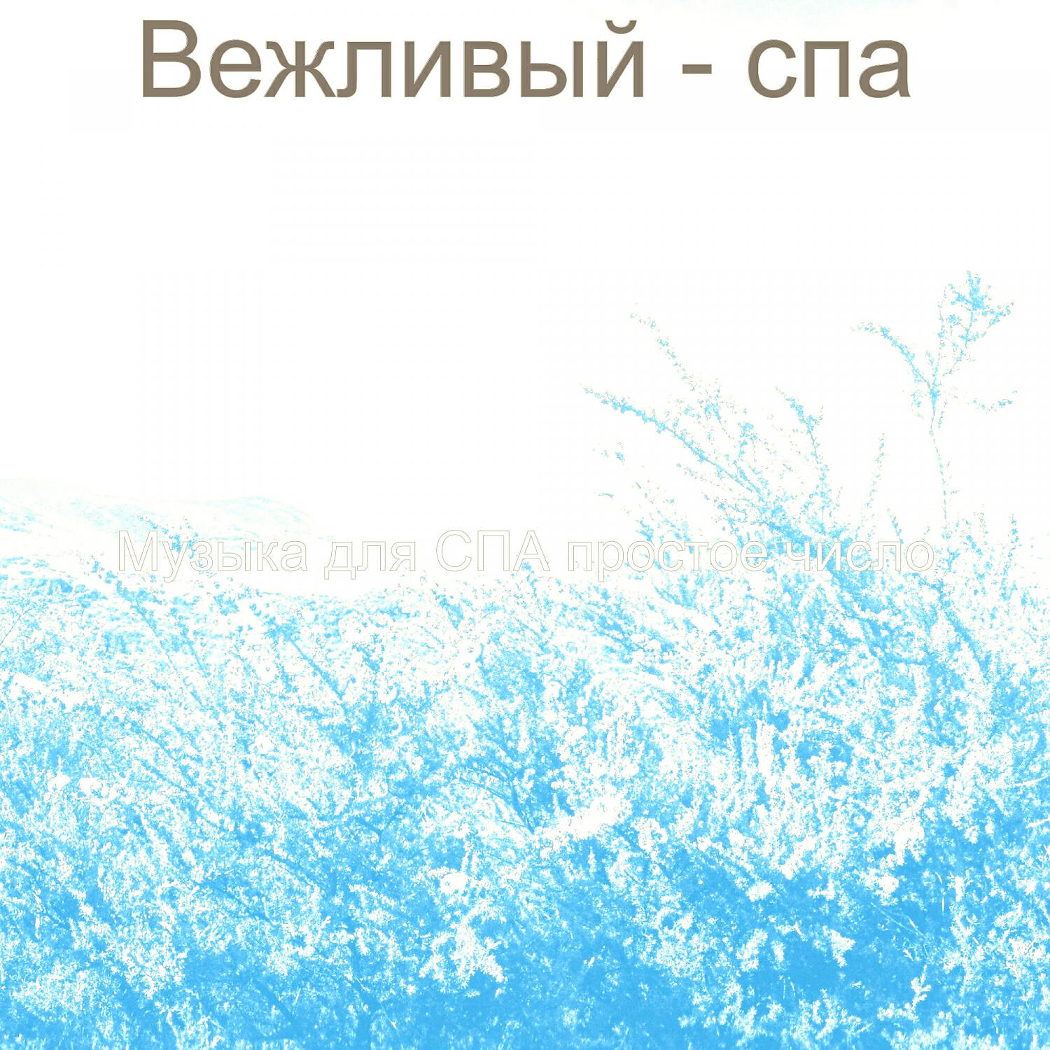 Постер альбома Вежливый - спа