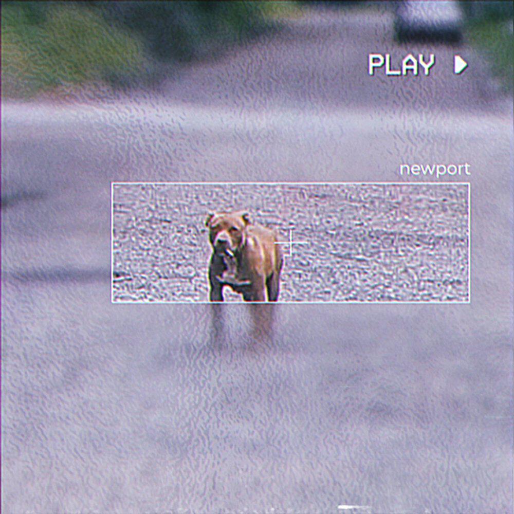 Релиз Newport