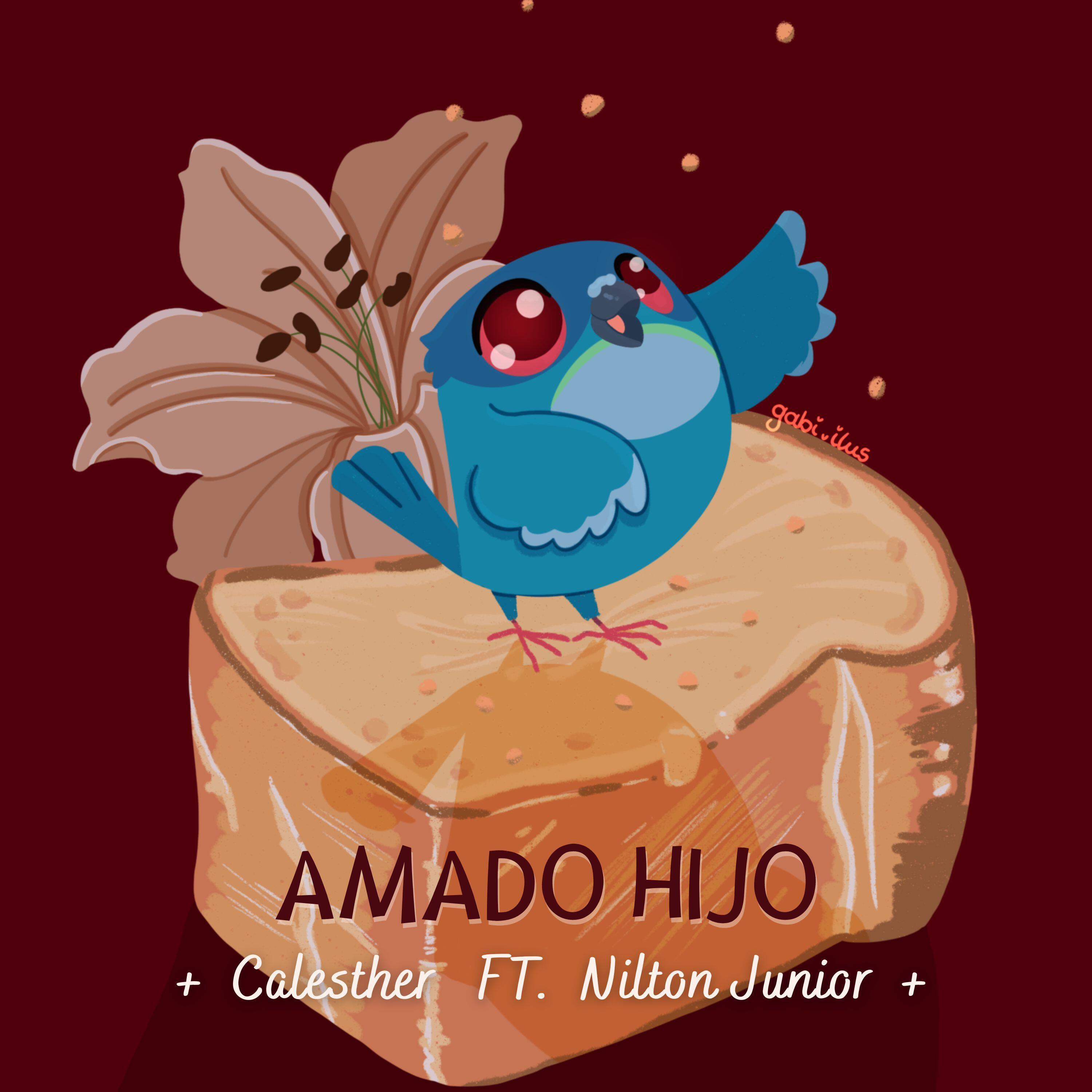Релиз Amado Hijo