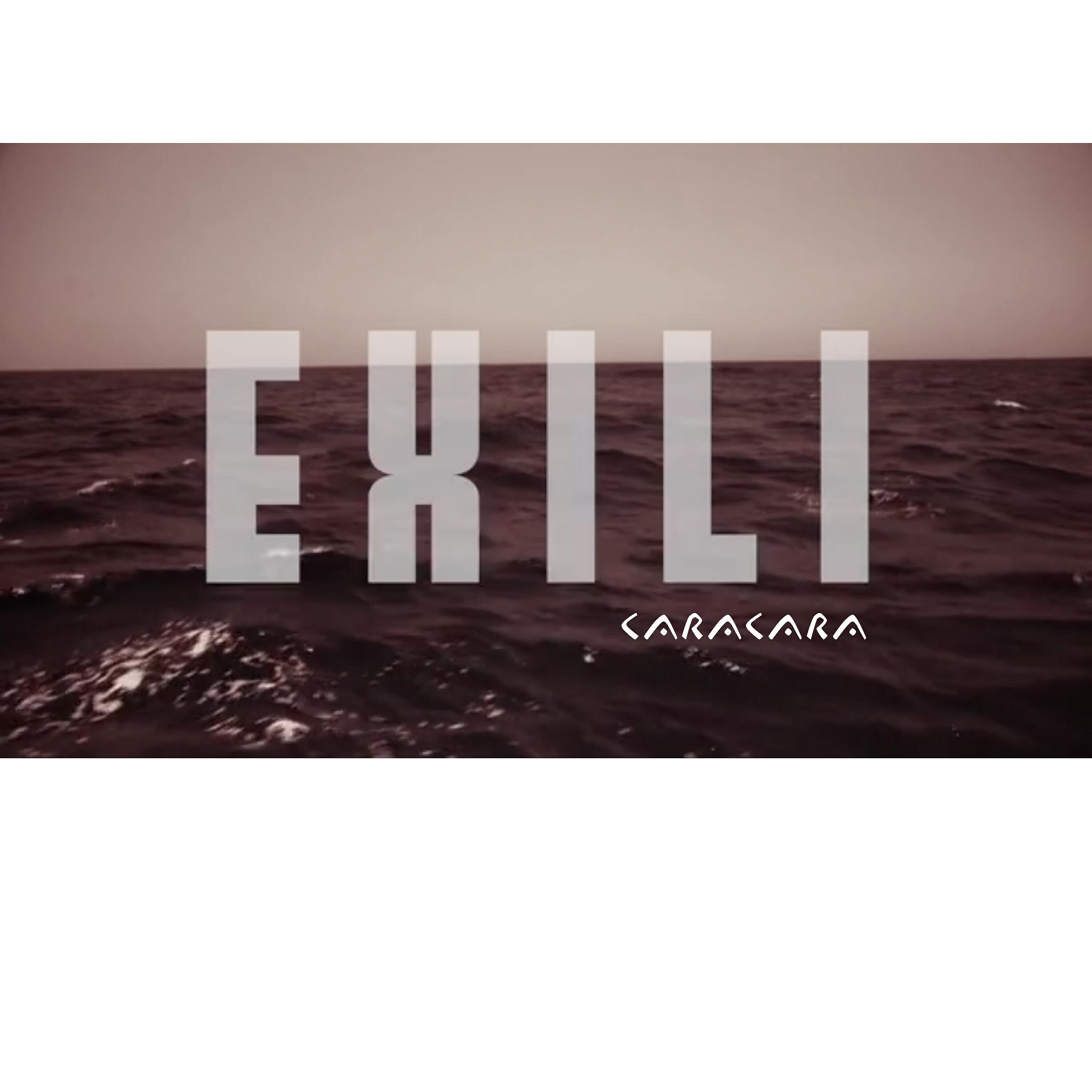Релиз Exili