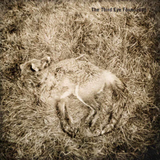 Релиз Semtex (20th Anniversary Edition)