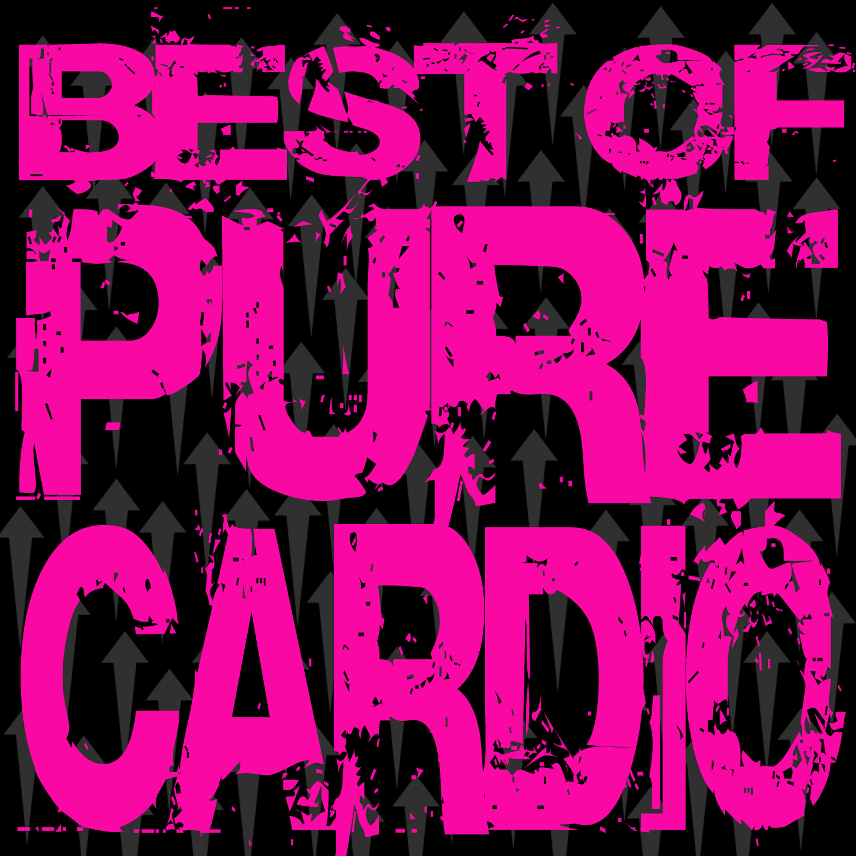 Релиз Best of Pure Cardio