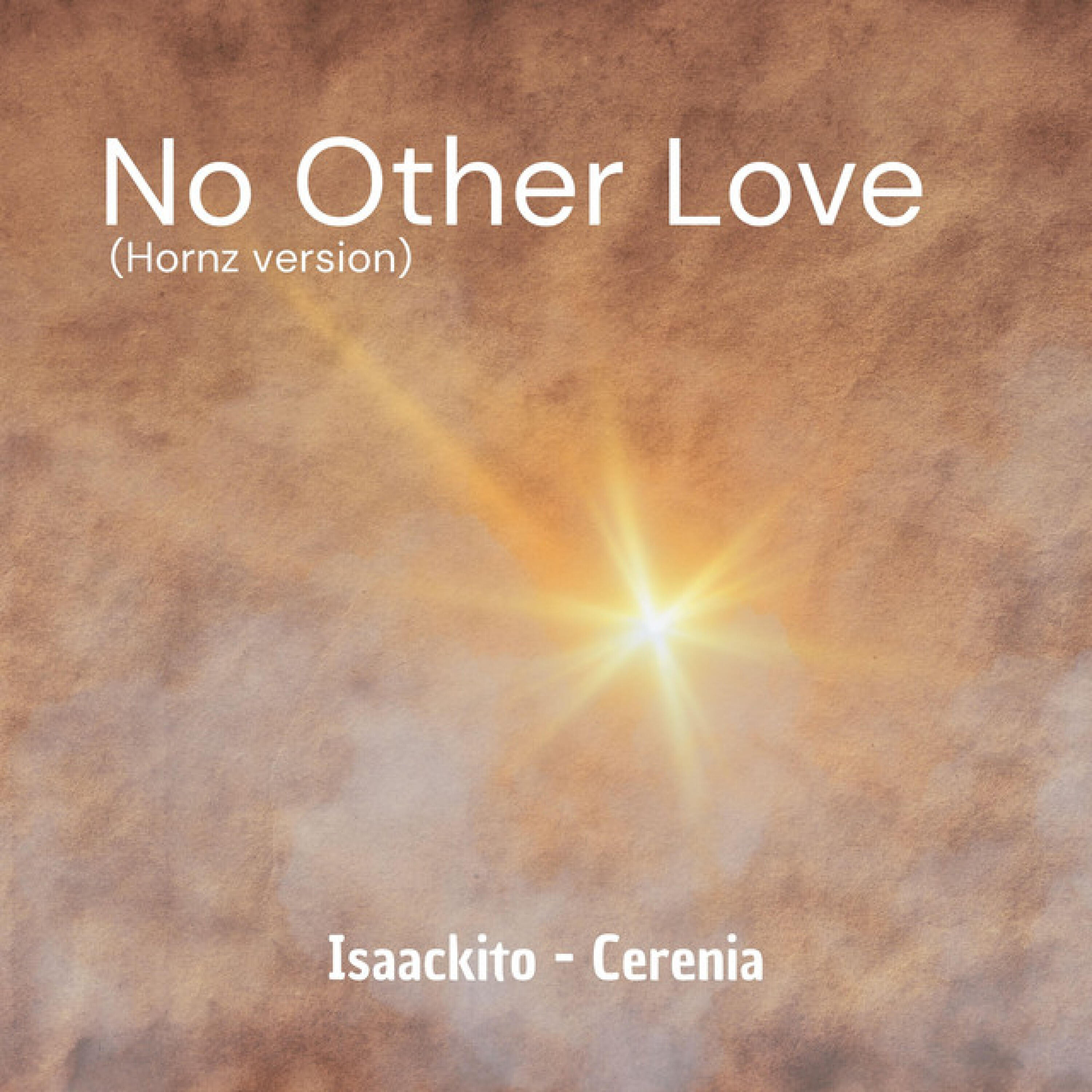 Релиз No Other Love (Hornz version)