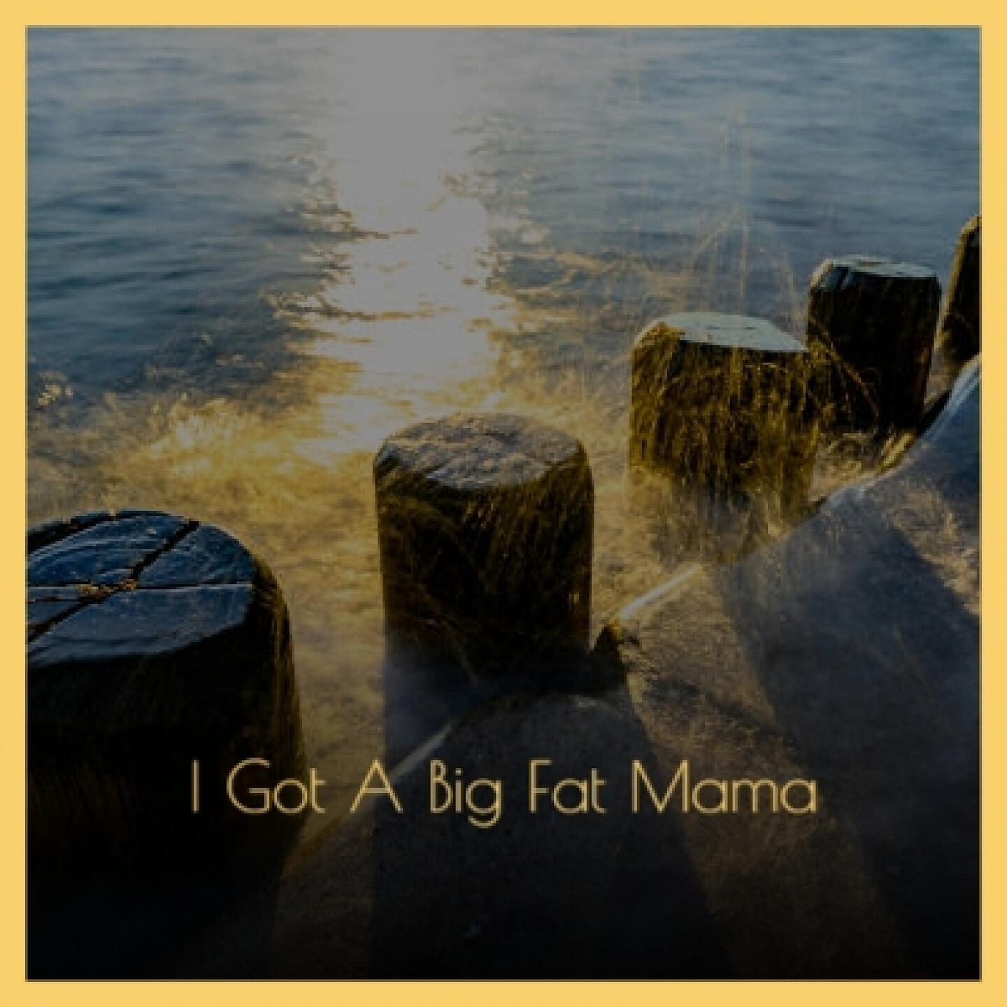 Релиз I Got a Big Fat Mama