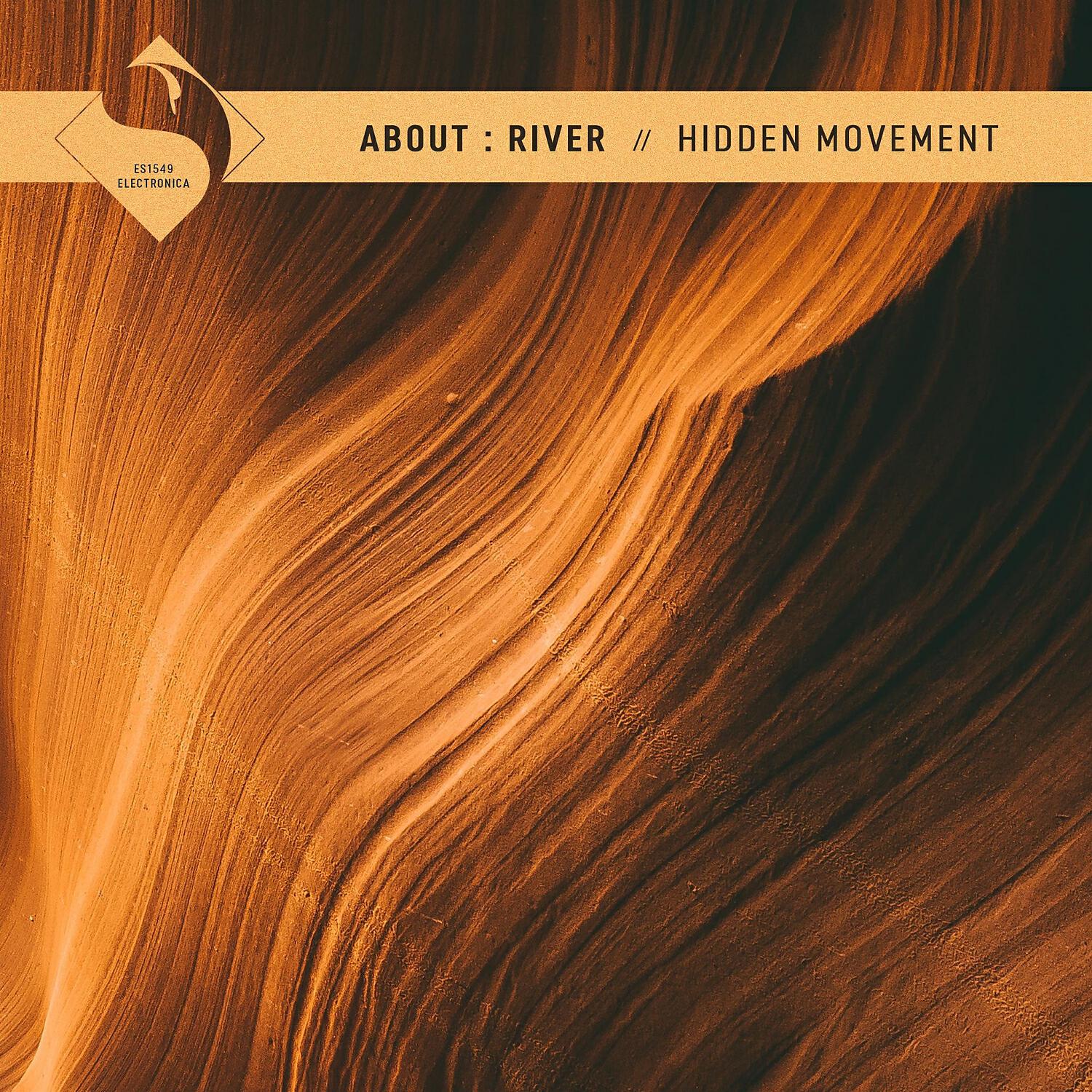 Релиз Hidden Movement