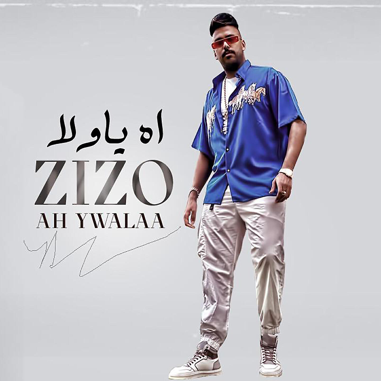Mohamed Zizo