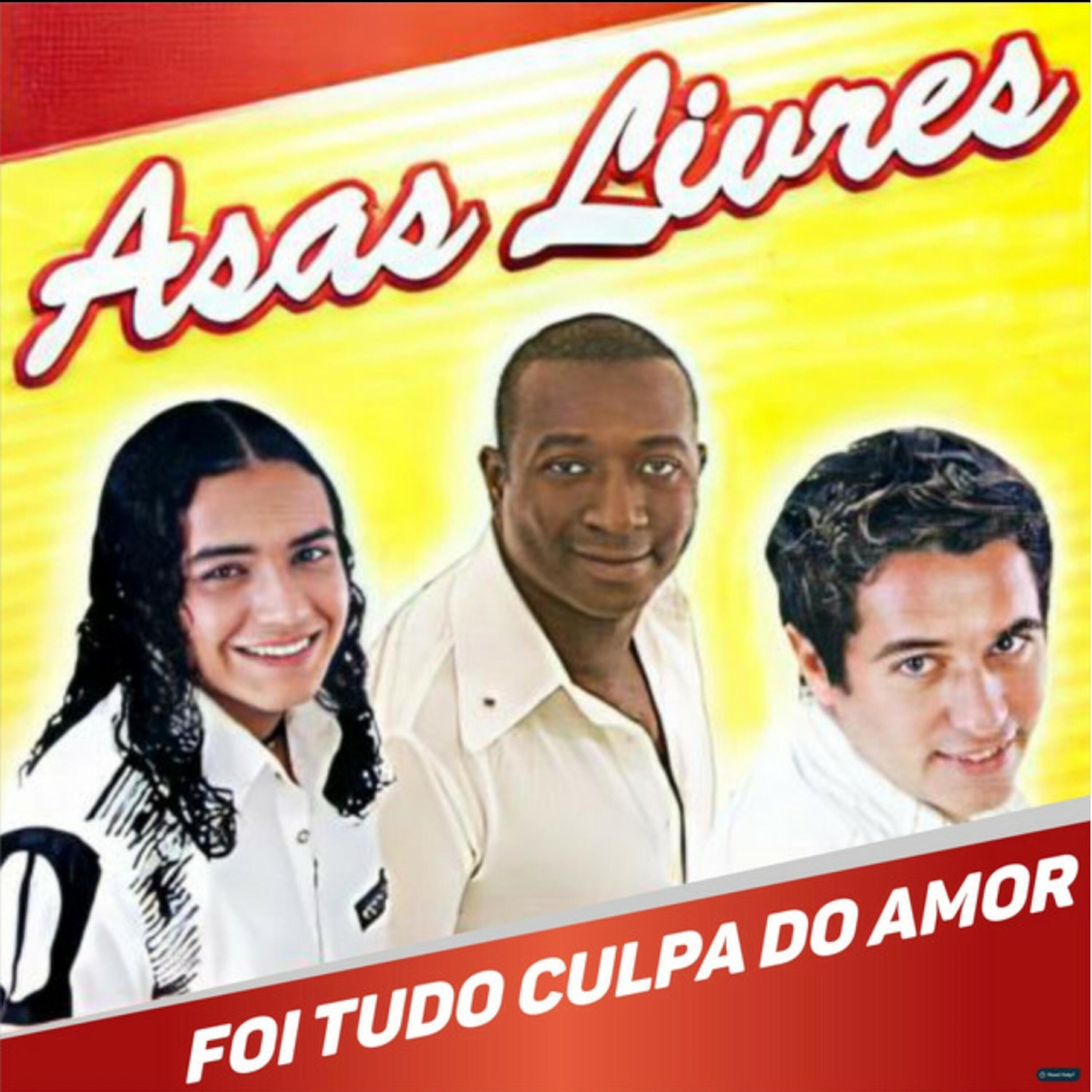 Релиз Foi Tudo Culpa do Amor