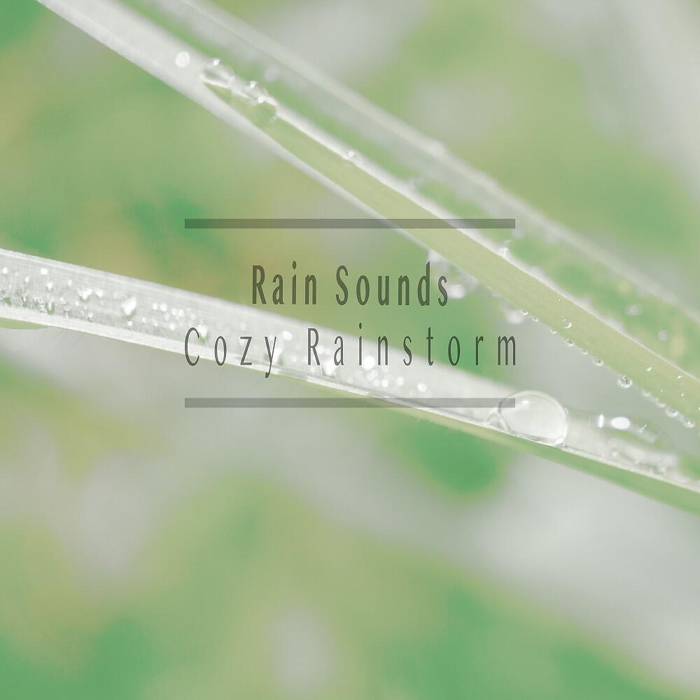 Релиз Cozy Rainstorm