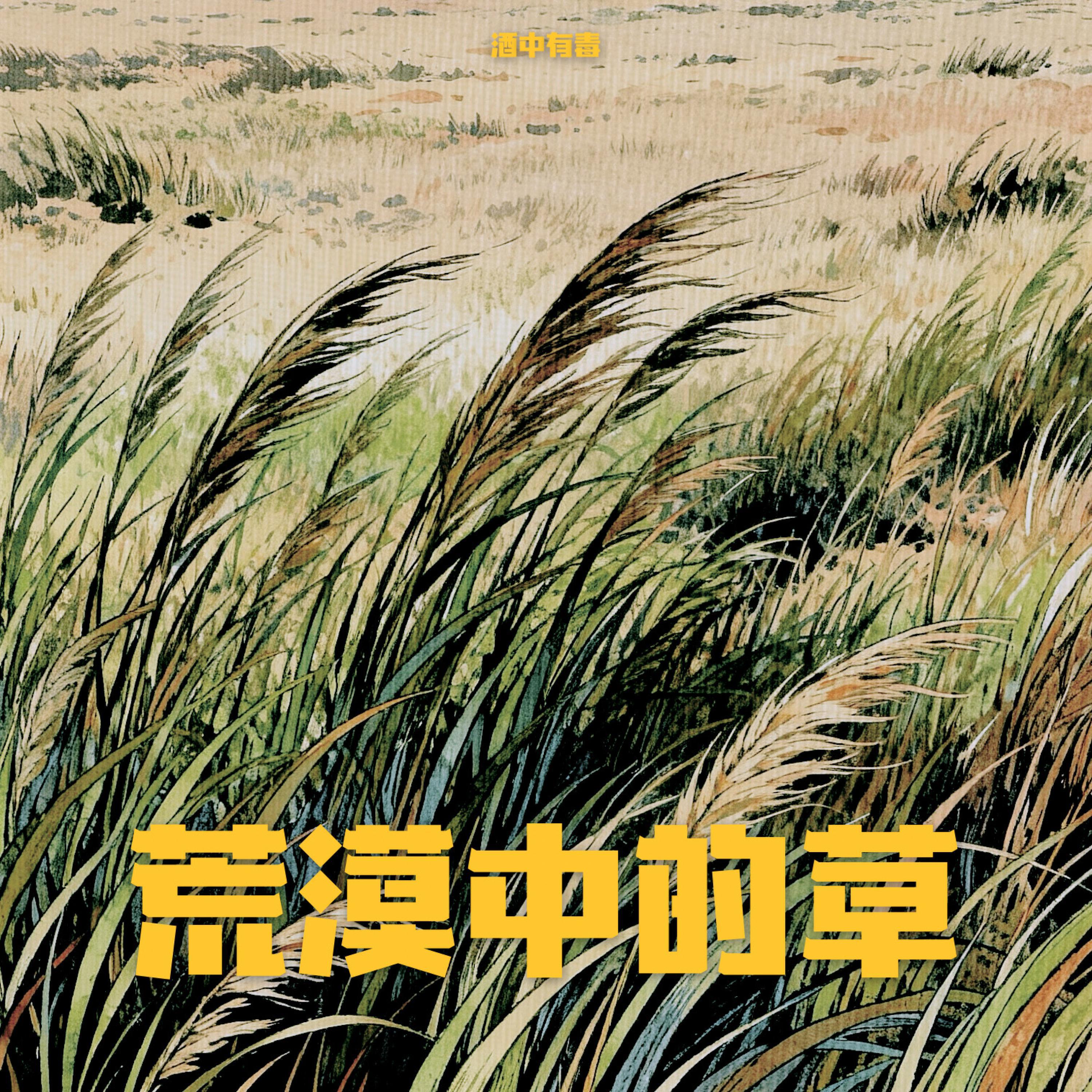Релиз 荒漠中的草