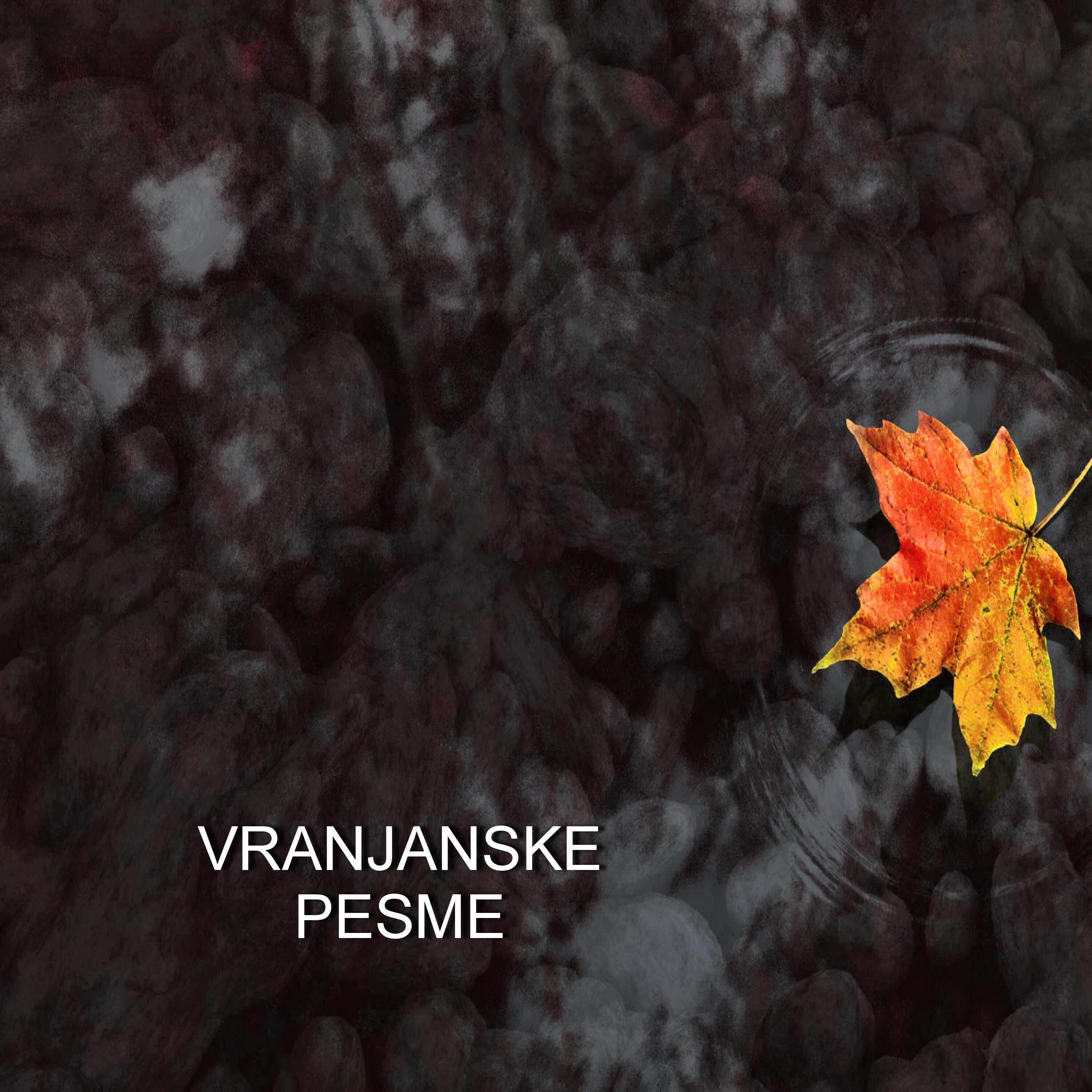 Релиз Vranjanske pesme