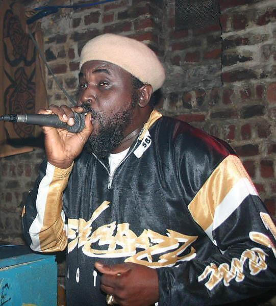 Reggie Stepper