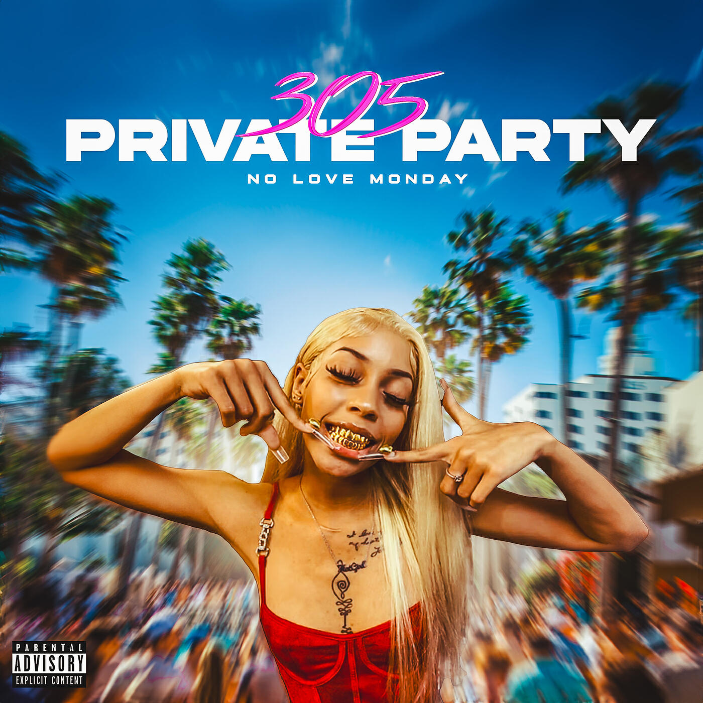 Постер альбома 305 Private Party
