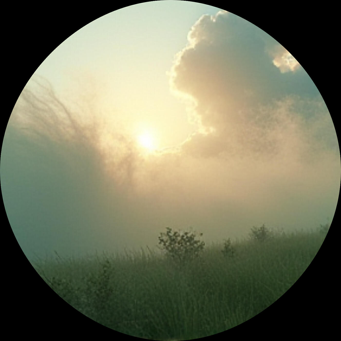 Релиз Viento